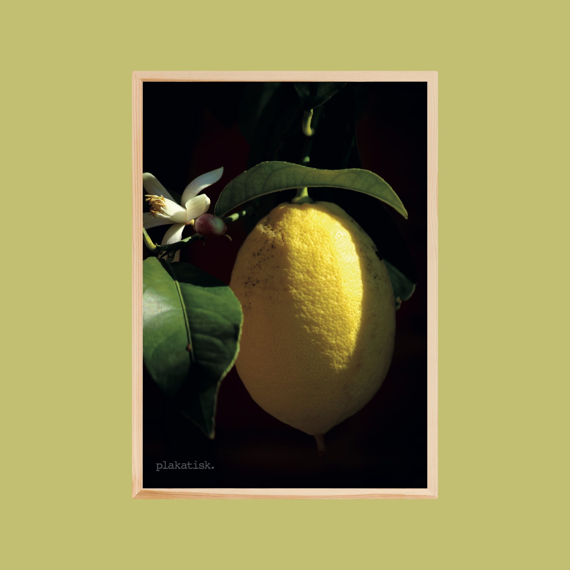 Citronen - Plakatisk