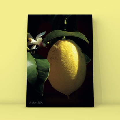 Citronen - Plakatisk