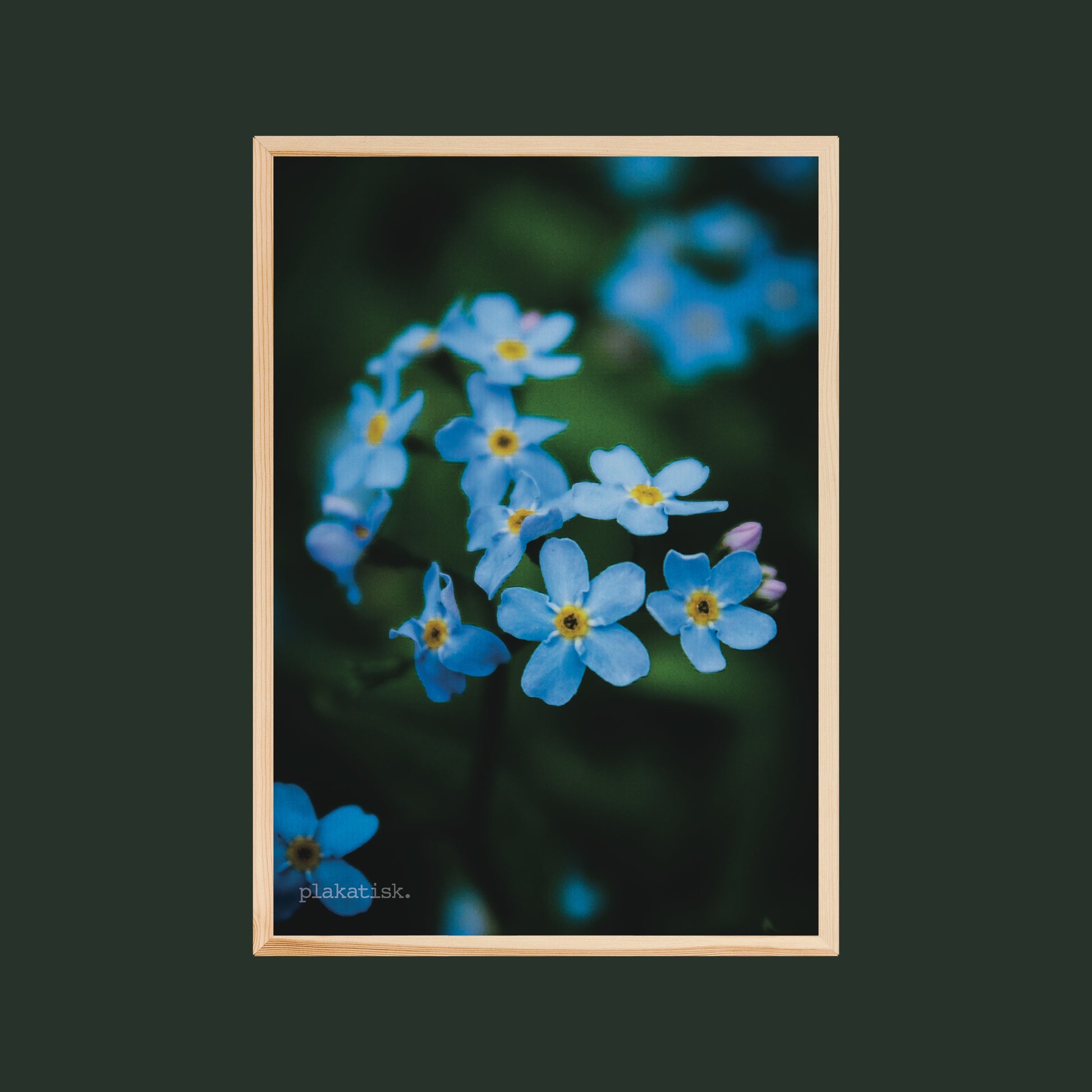 Blå blomster - Plakatisk