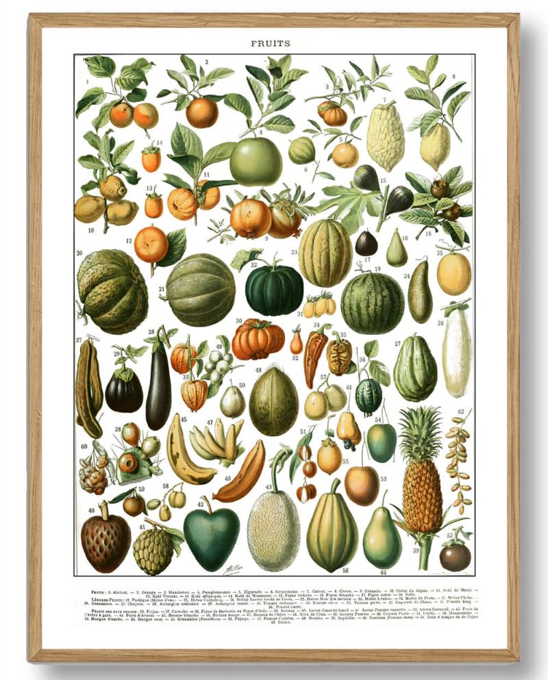 Adolphe Millot Frugt - Plakatdyr.dk Plakater