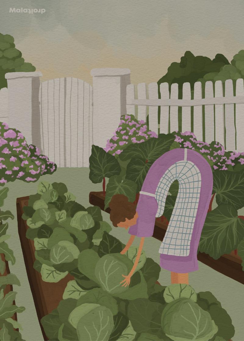 Køkkenhaven Plakat 60x80 - Maladroit.dk Plakater