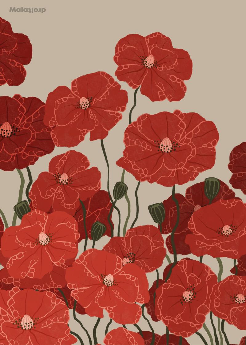 Vilde Valmuer Plakat 100x140 - Tag Naturen Indendørs