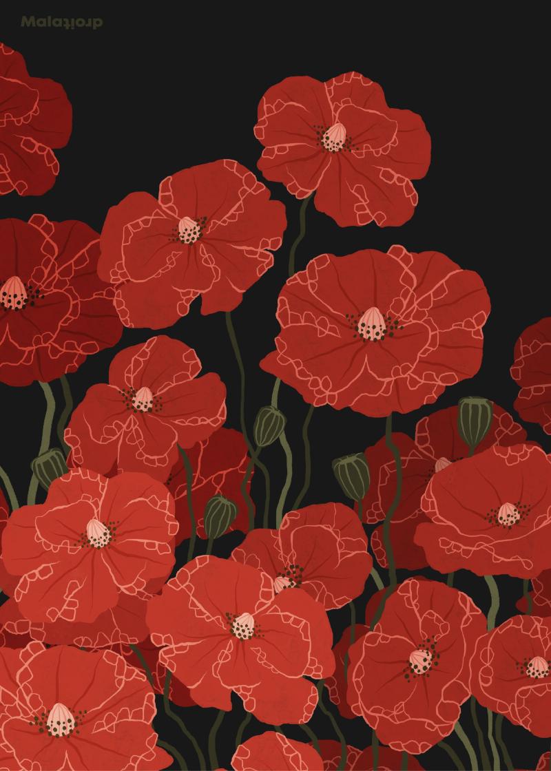 Vilde Valmuer 100x140 Mørk - Maladroit.dk Plakater