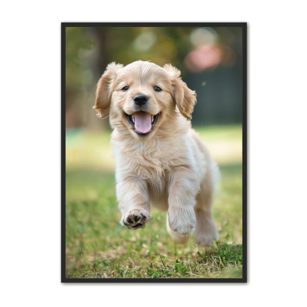 Hundehvalp Plakat - Plakat Portalen Plakater