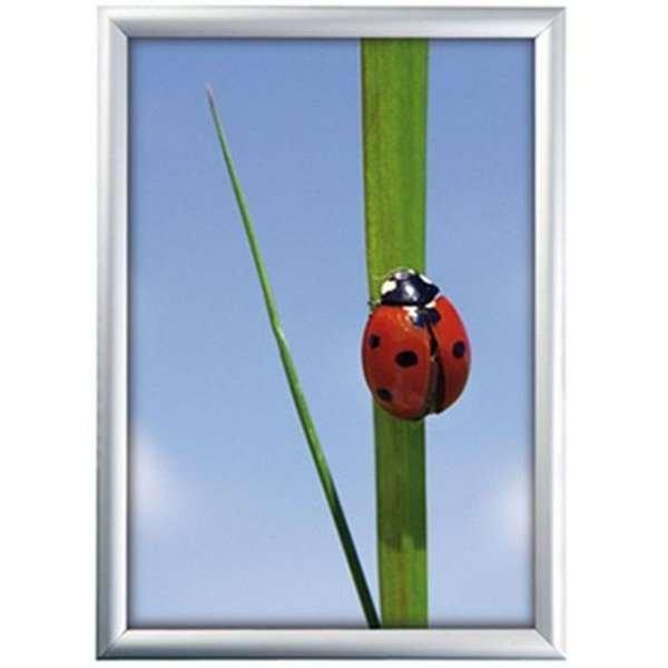 Klikramme Med 25mm Aluminium Profil Sølv - Liseborg Plakater