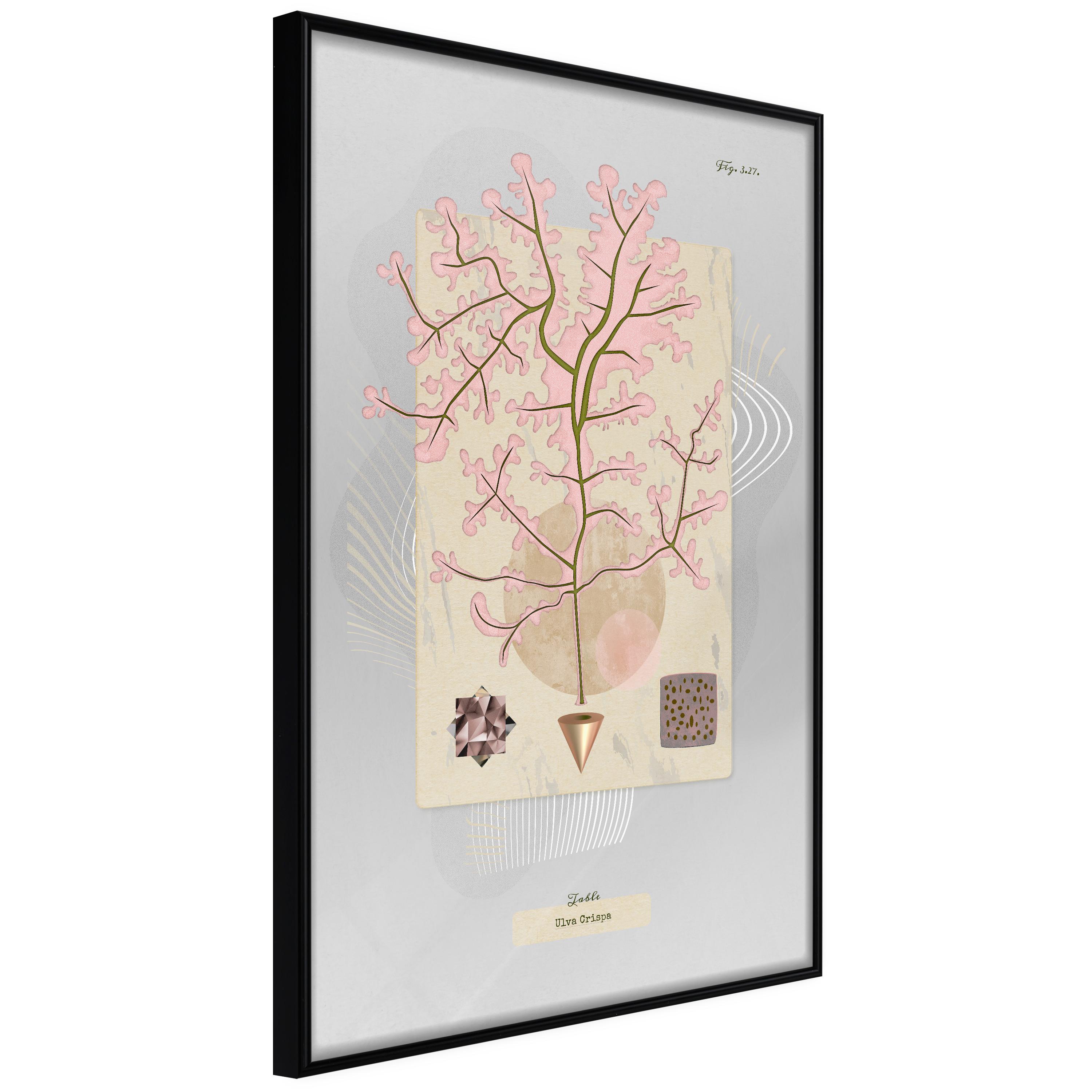 Sort Plakat Mysterious Tree Ramme - Boligcenter Plakater  - 5903617088032