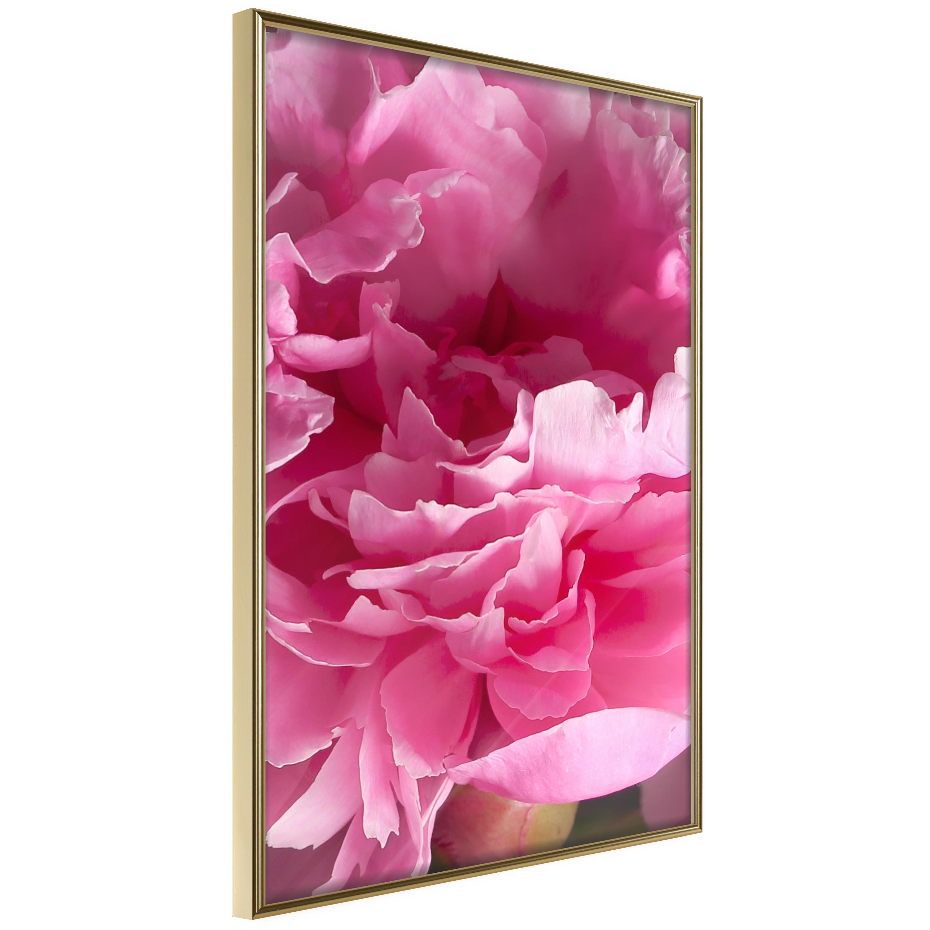 Plakat Beautiful Peonies Guldramme - Boligcenter Plakater - 5904419692991