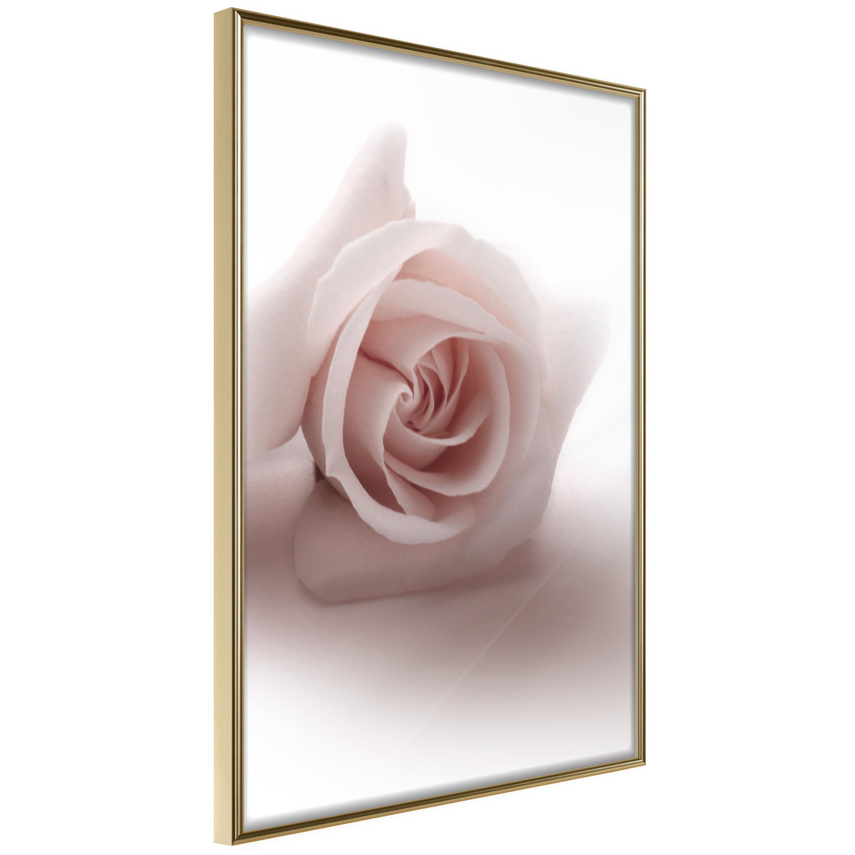 Plakat Rose Shadow Guldramme - Boligcenter Plakater - 5904419693714