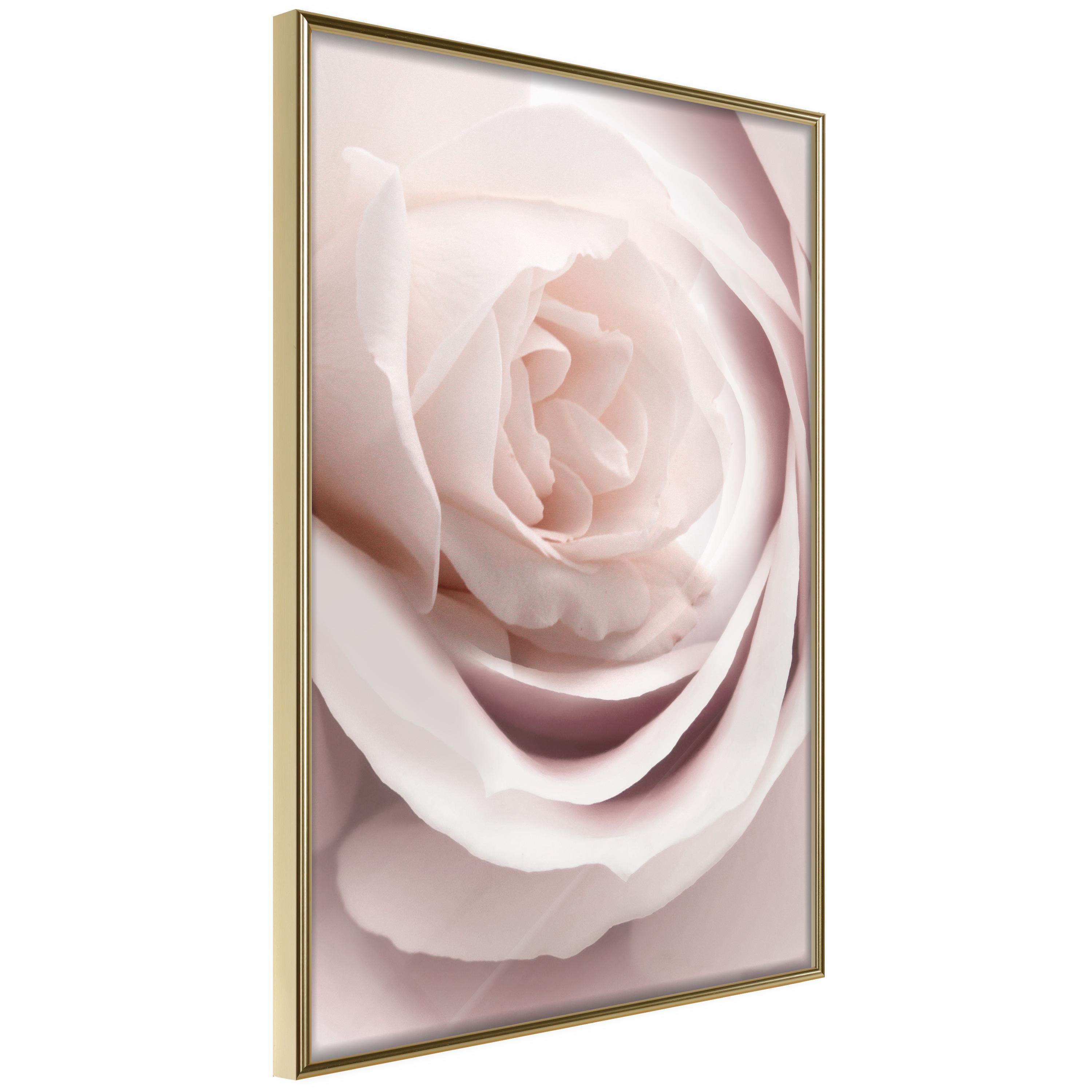 Plakat Porcelain Rose Guldramme - Boligcenter Plakater - 5904419693899