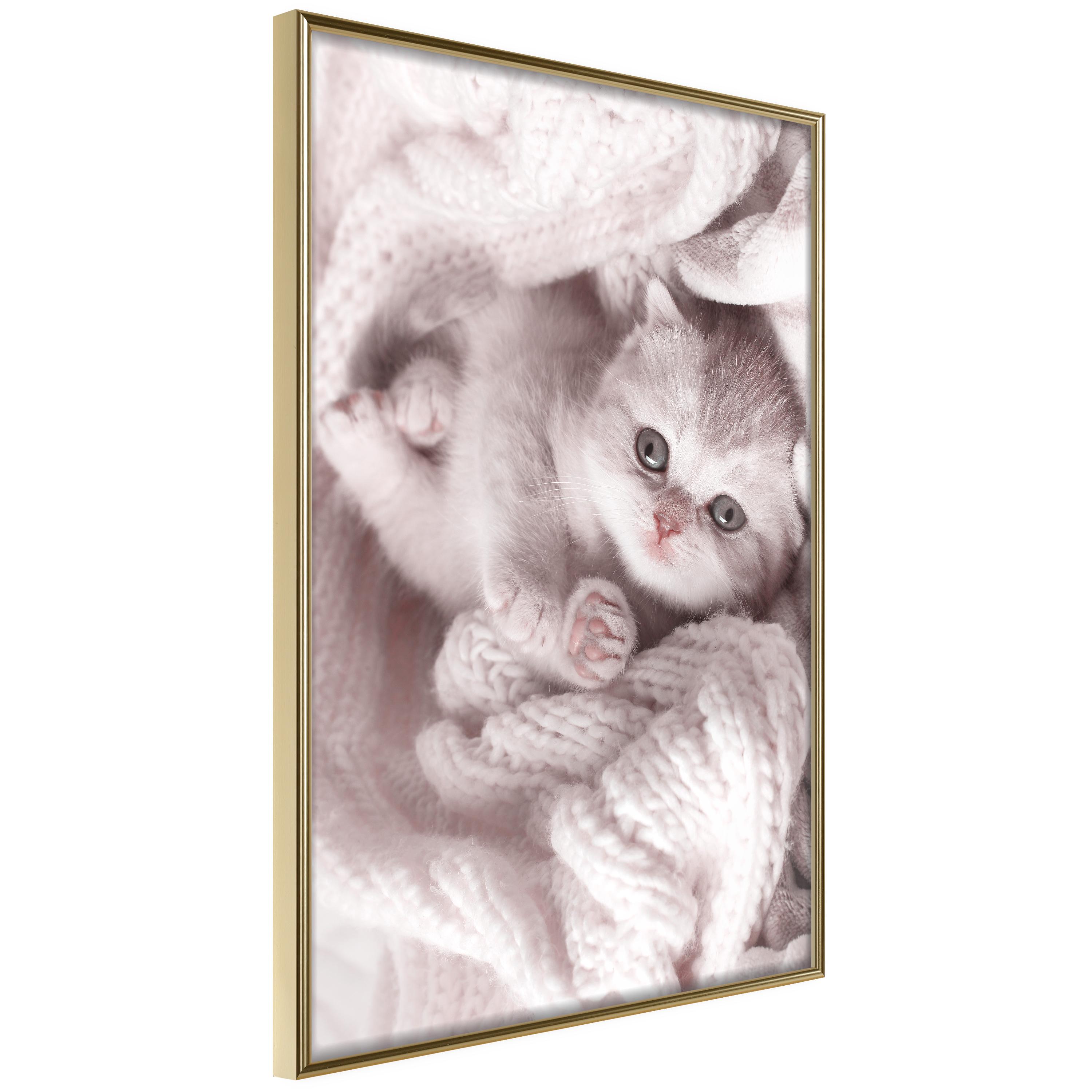 Plakat Lover Rest Guldramme - Boligcenter Plakater - 5904419736190