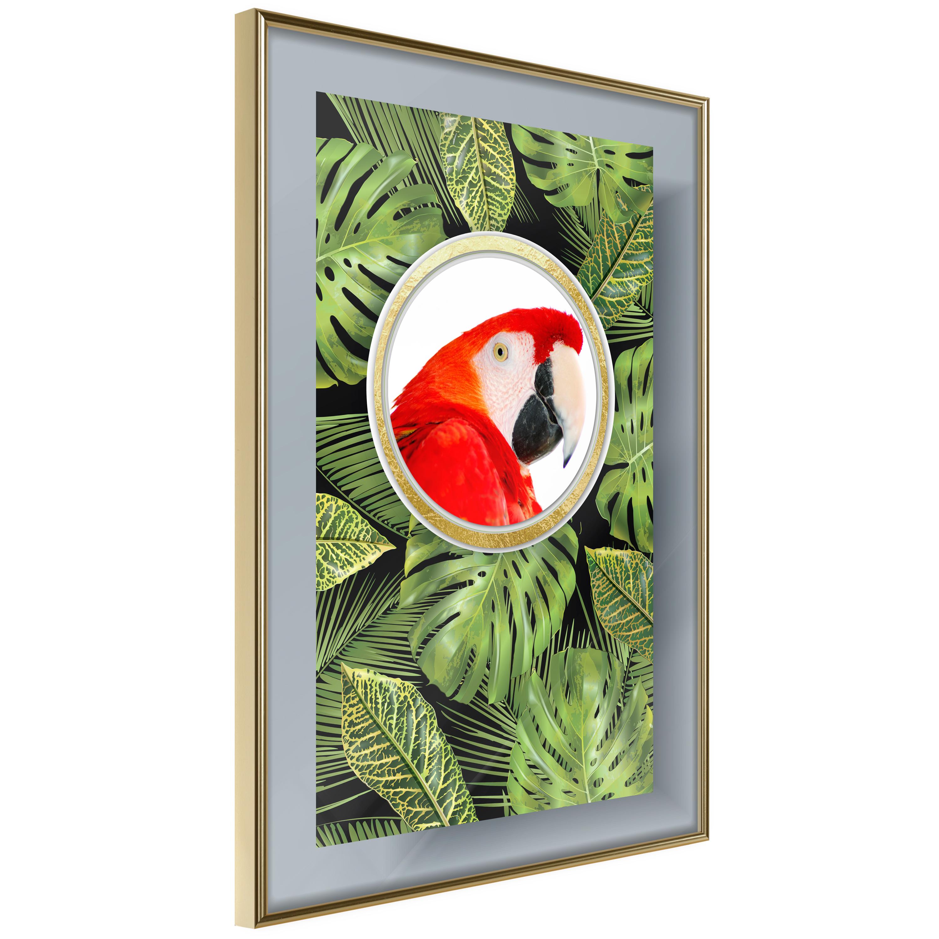 Plakat Parrot The Jungle Guldramme - Boligcenter Plakater  - 5901493713987