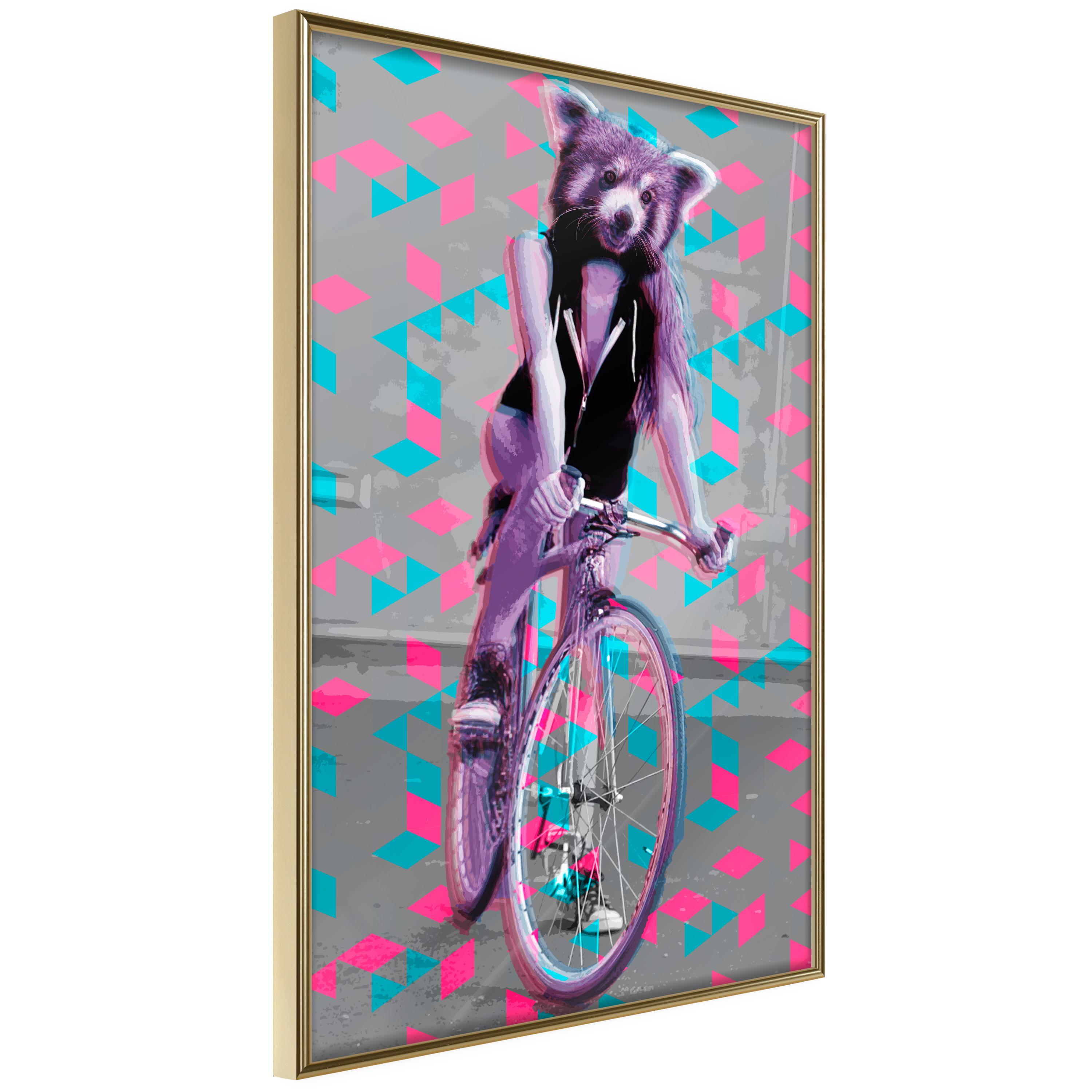 Plakat Raccoon The Bike Guldramme - Boligcenter Plakater  - 5903617098376