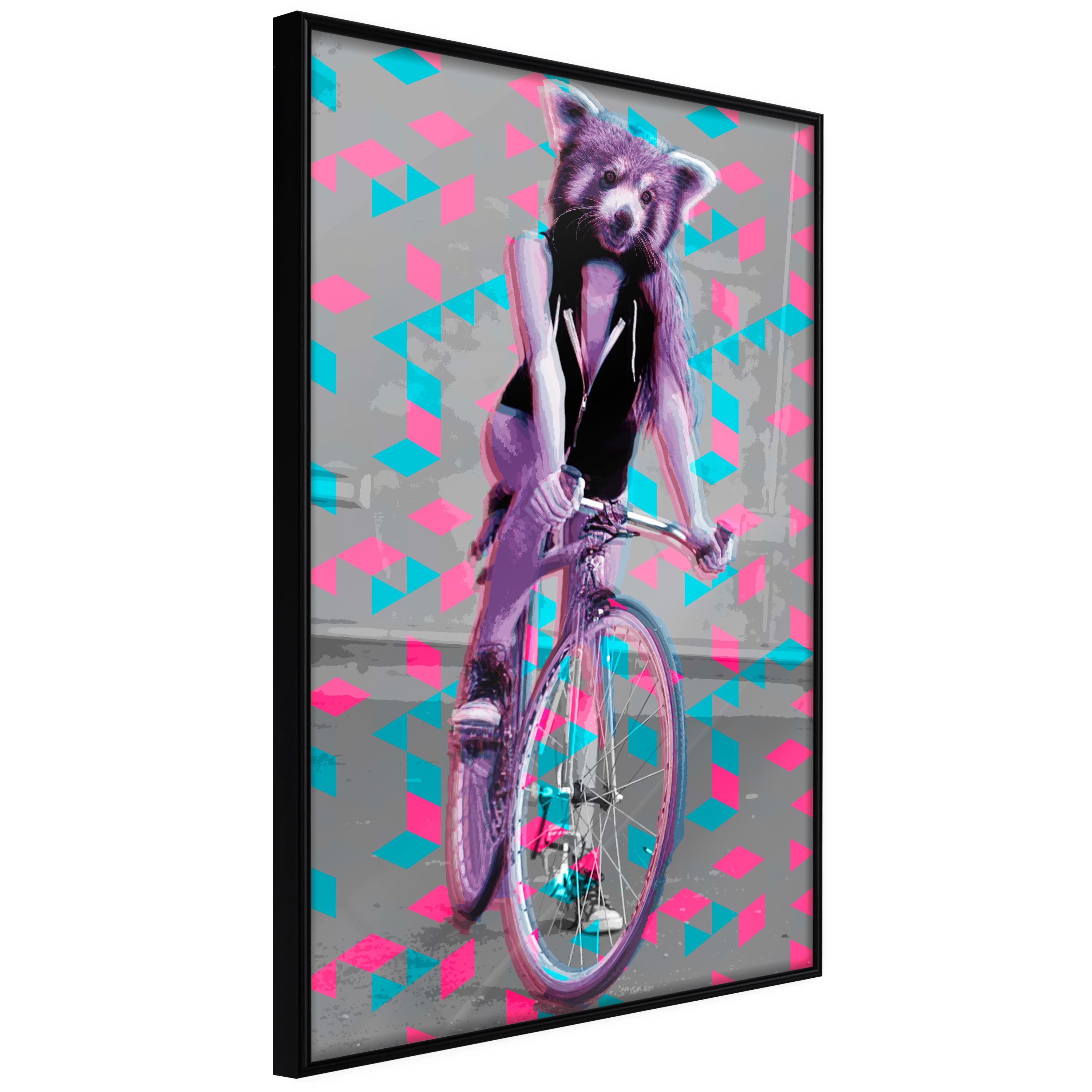 Sort Plakat Raccoon The Bike Ramme - Boligcenter Plakater  - 5903617098475