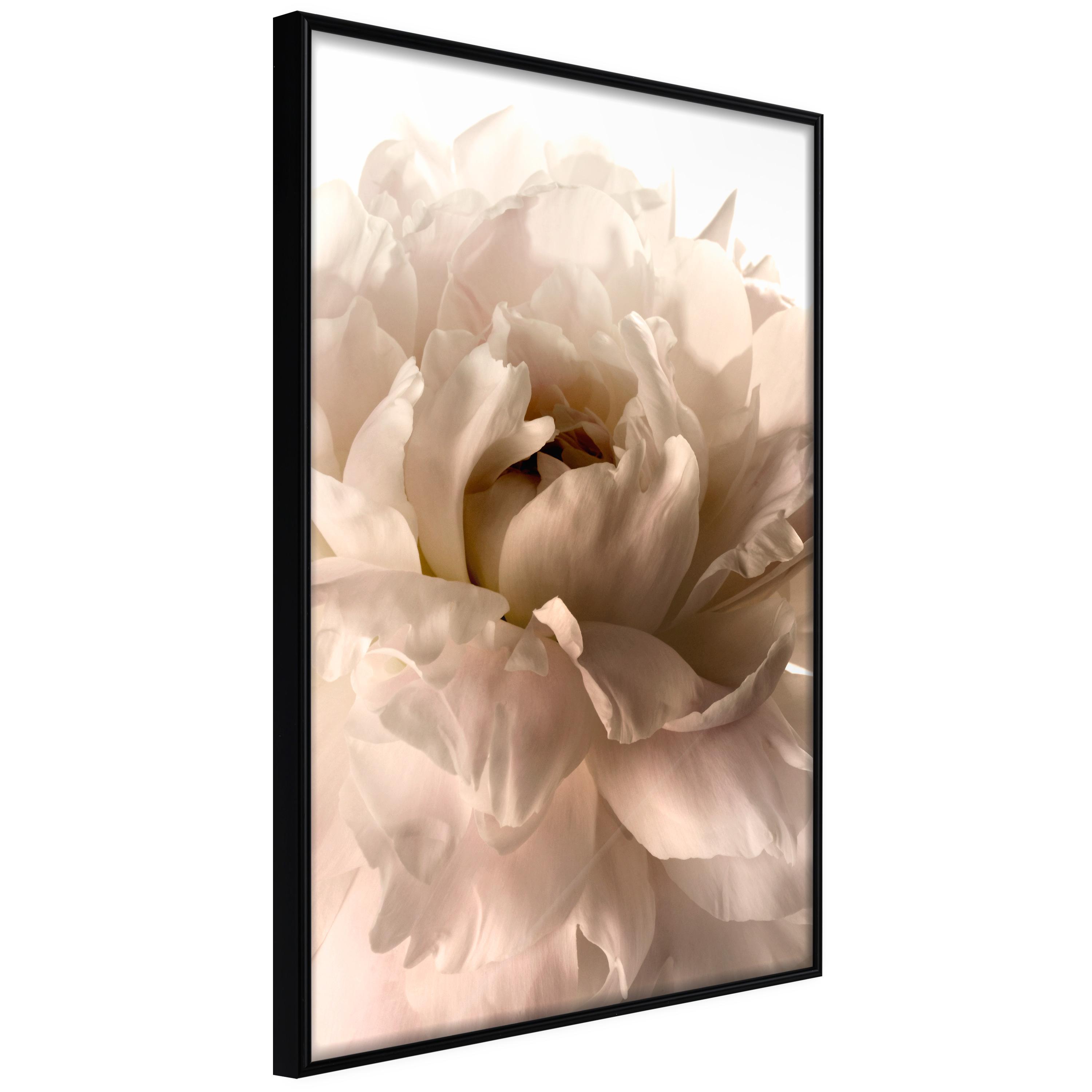 Sort Plakat Soft Petals Ramme - Boligcenter Plakater  - 5904419720090