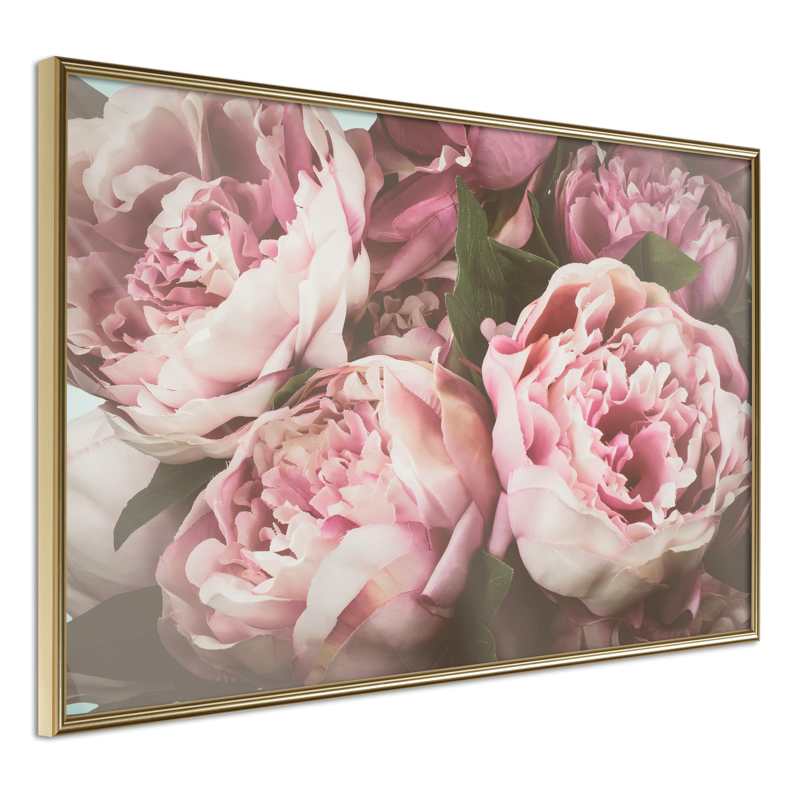 Pink Plakat Peonies Guldramme - Boligcenter Plakater  - 5901493649606