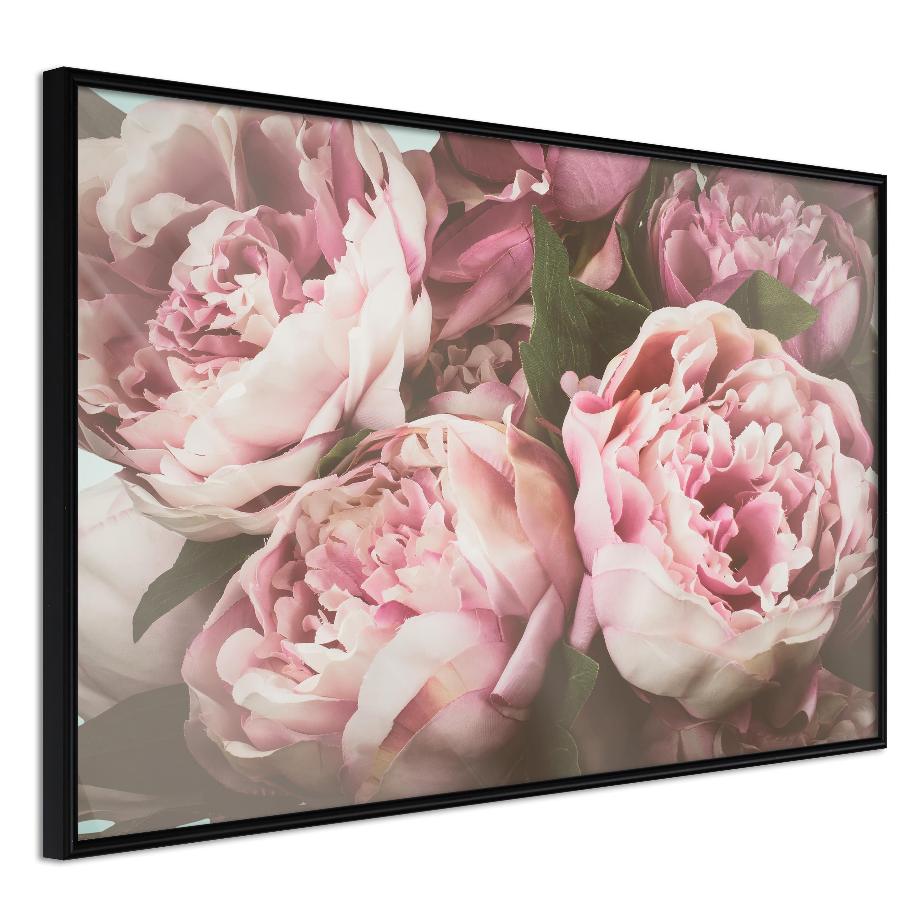Sort Plakat Pink Peonies Ramme - Boligcenter Plakater  - 5901493649521