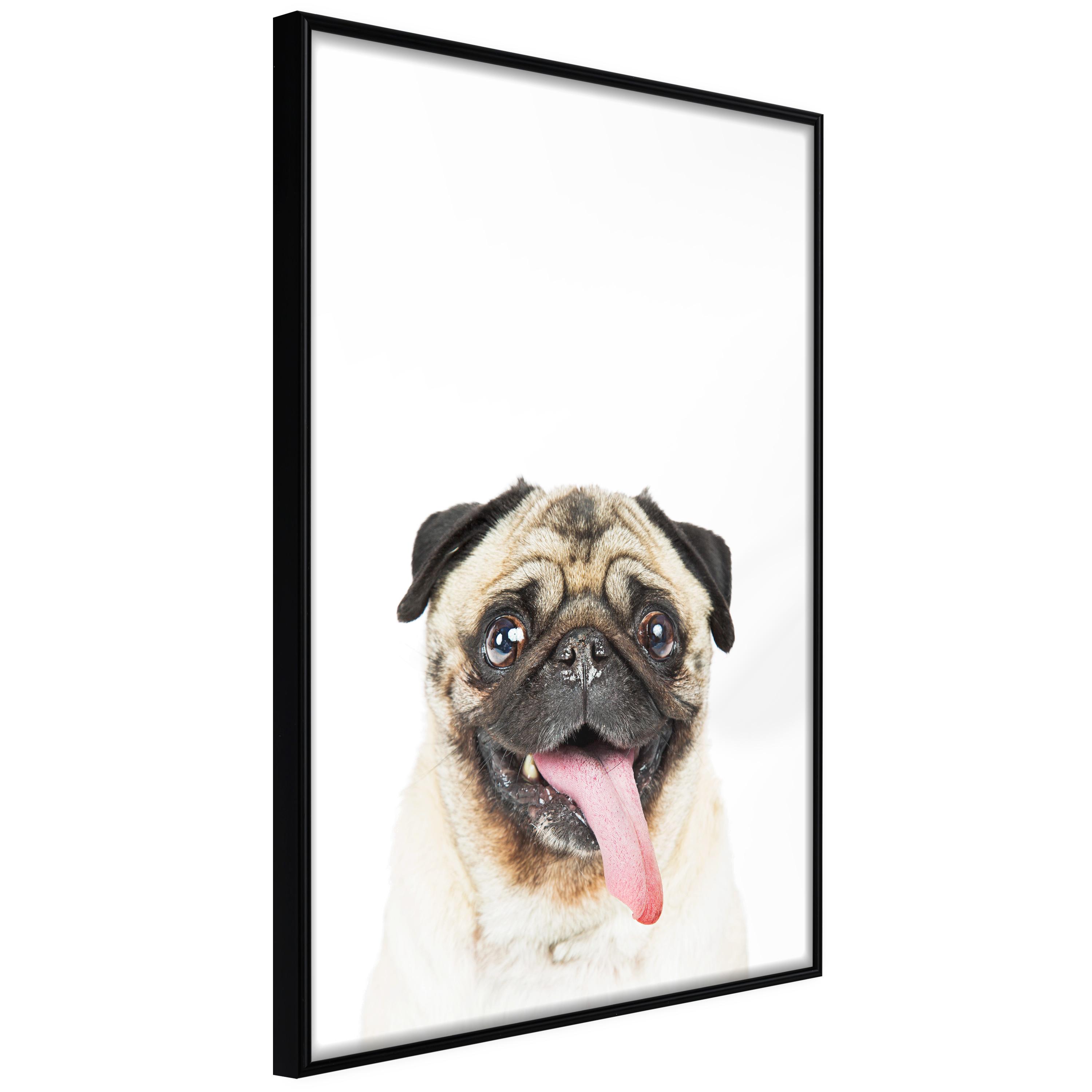 Sort Plakat Pug Ramme - Boligcenter Plakater - 5901493699502