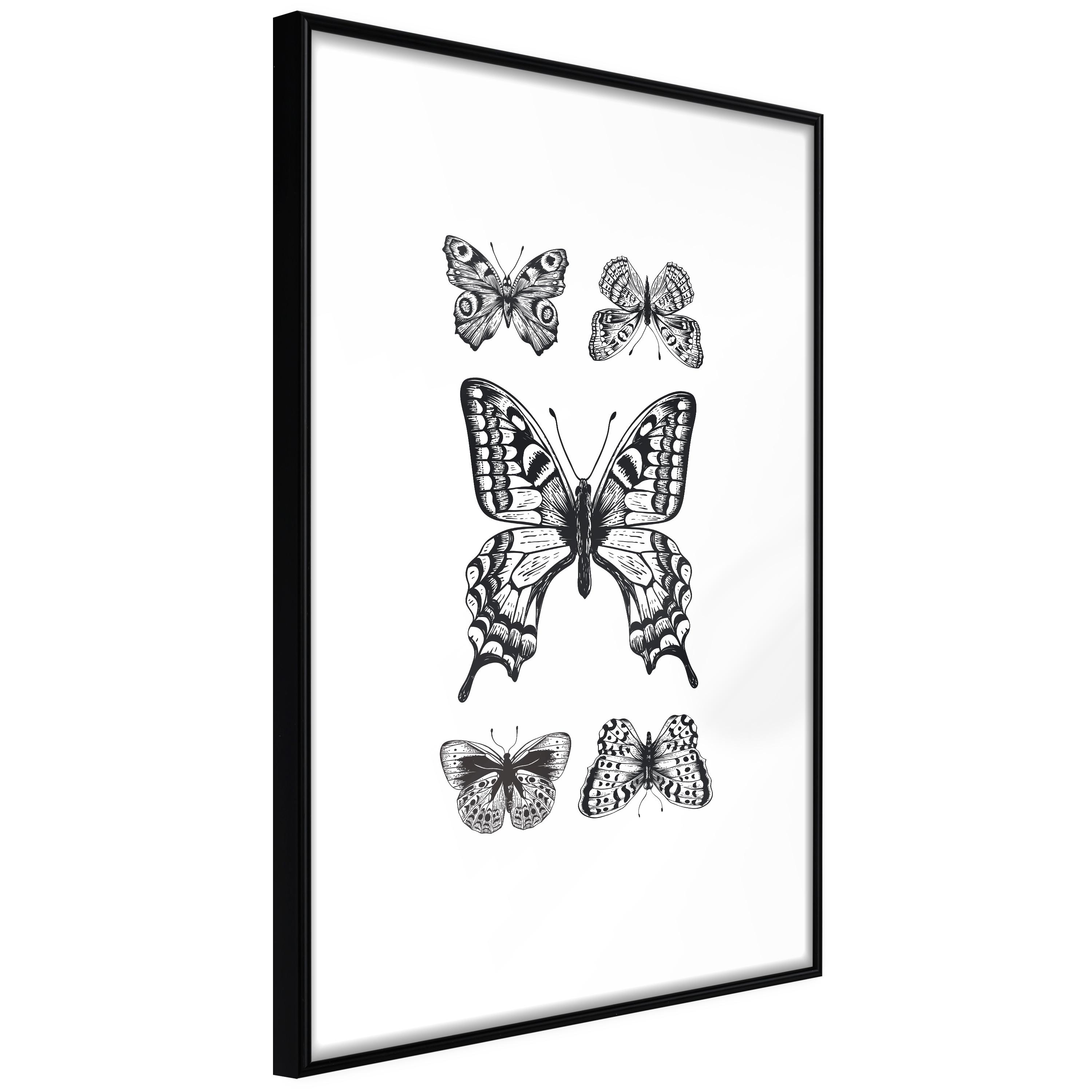 Sort Plakat Five Butterflies Ramme - Boligcenter Plakater  - 5903617093074