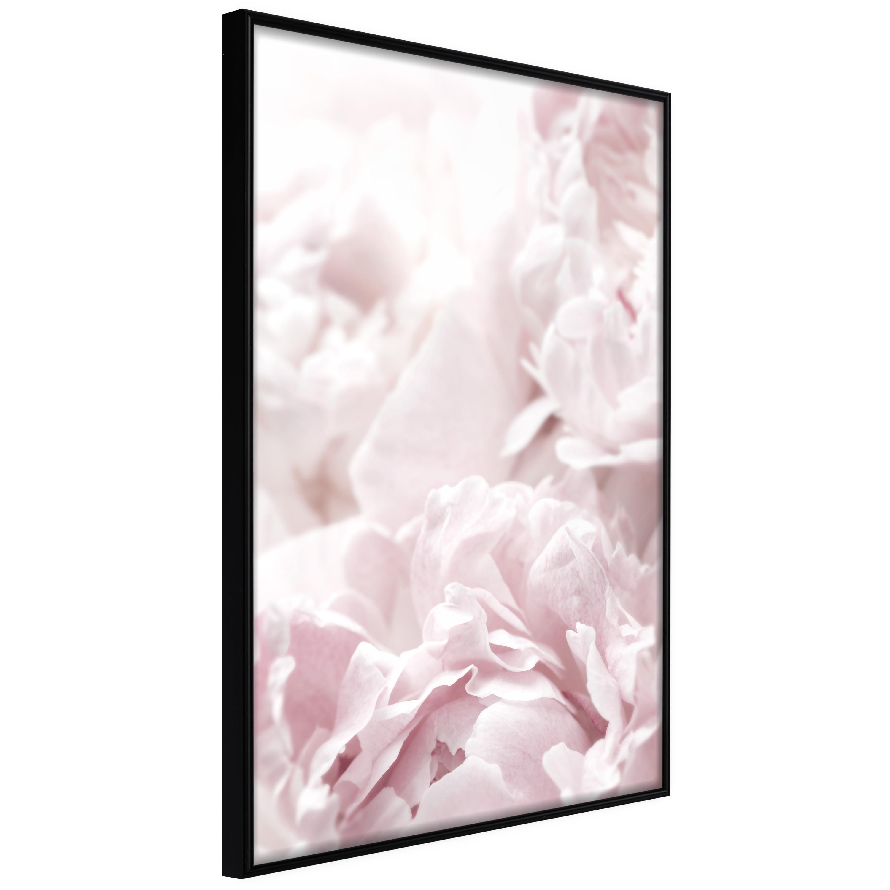 Sort Plakat Fluffy Peonies Ramme - Boligcenter Plakater  - 5901493698789