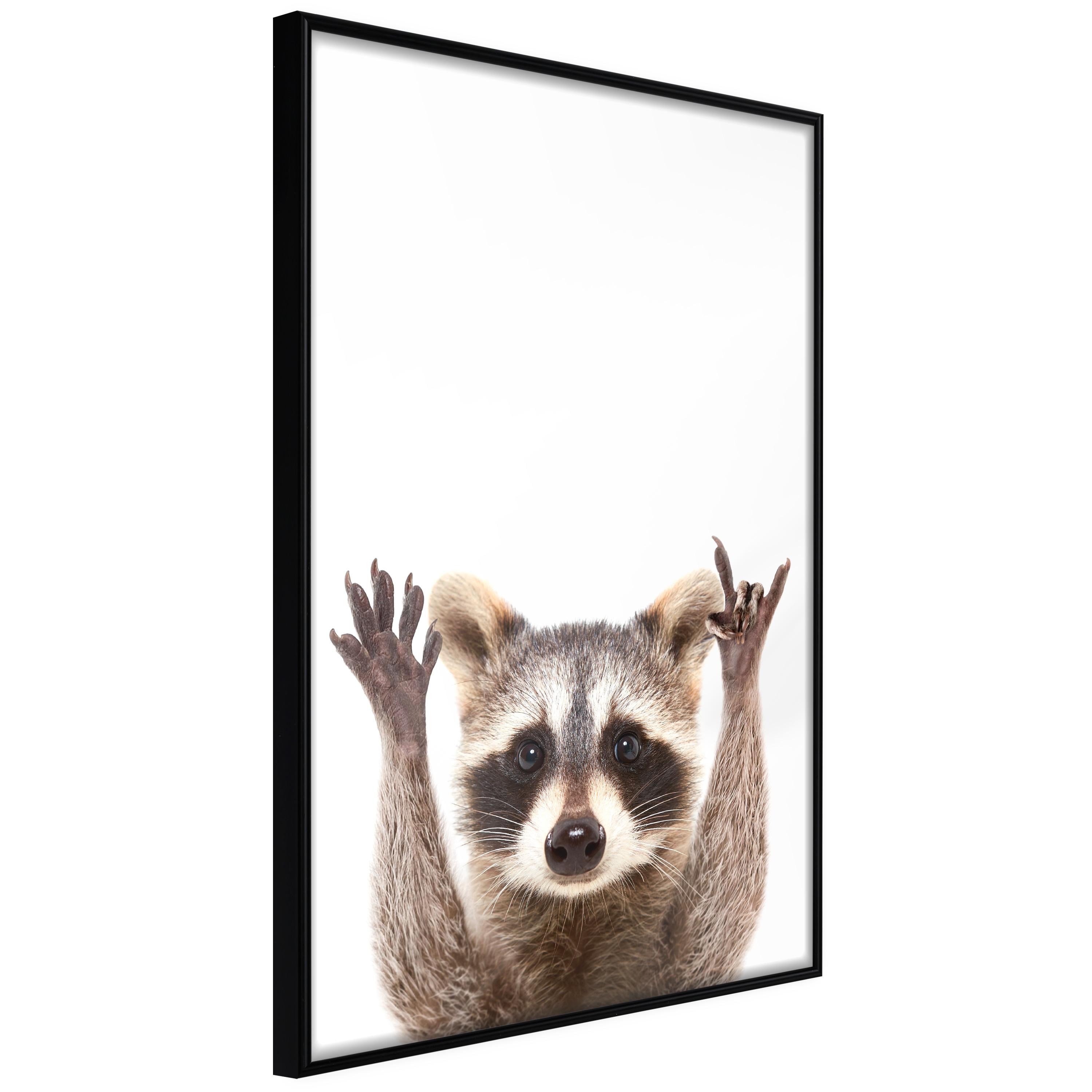 Sort Plakat Raccoon Ramme - Boligcenter Plakater  - 5901493699328