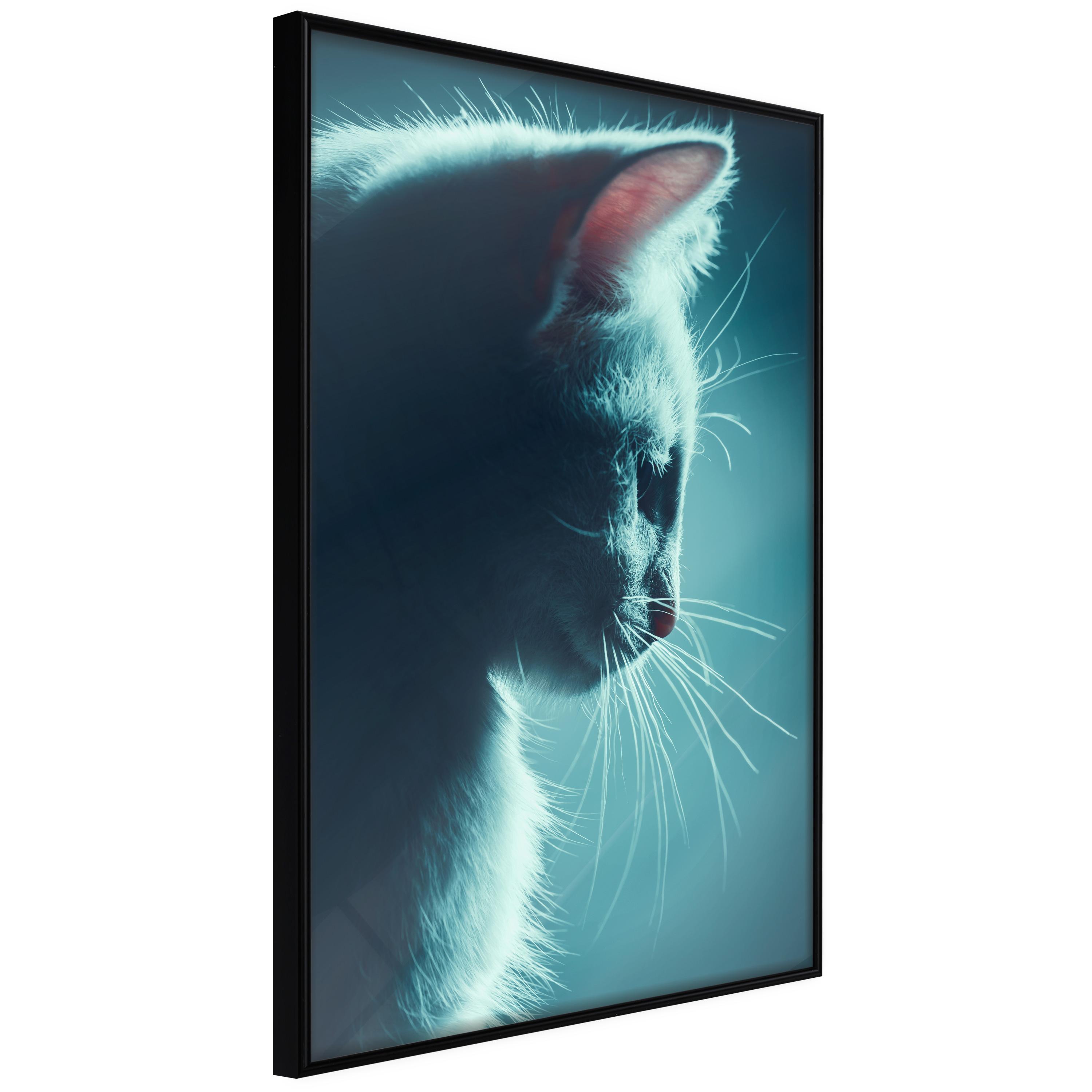 Sort Plakat Night Tramp Ramme - Boligcenter Plakater  - 5904419735032