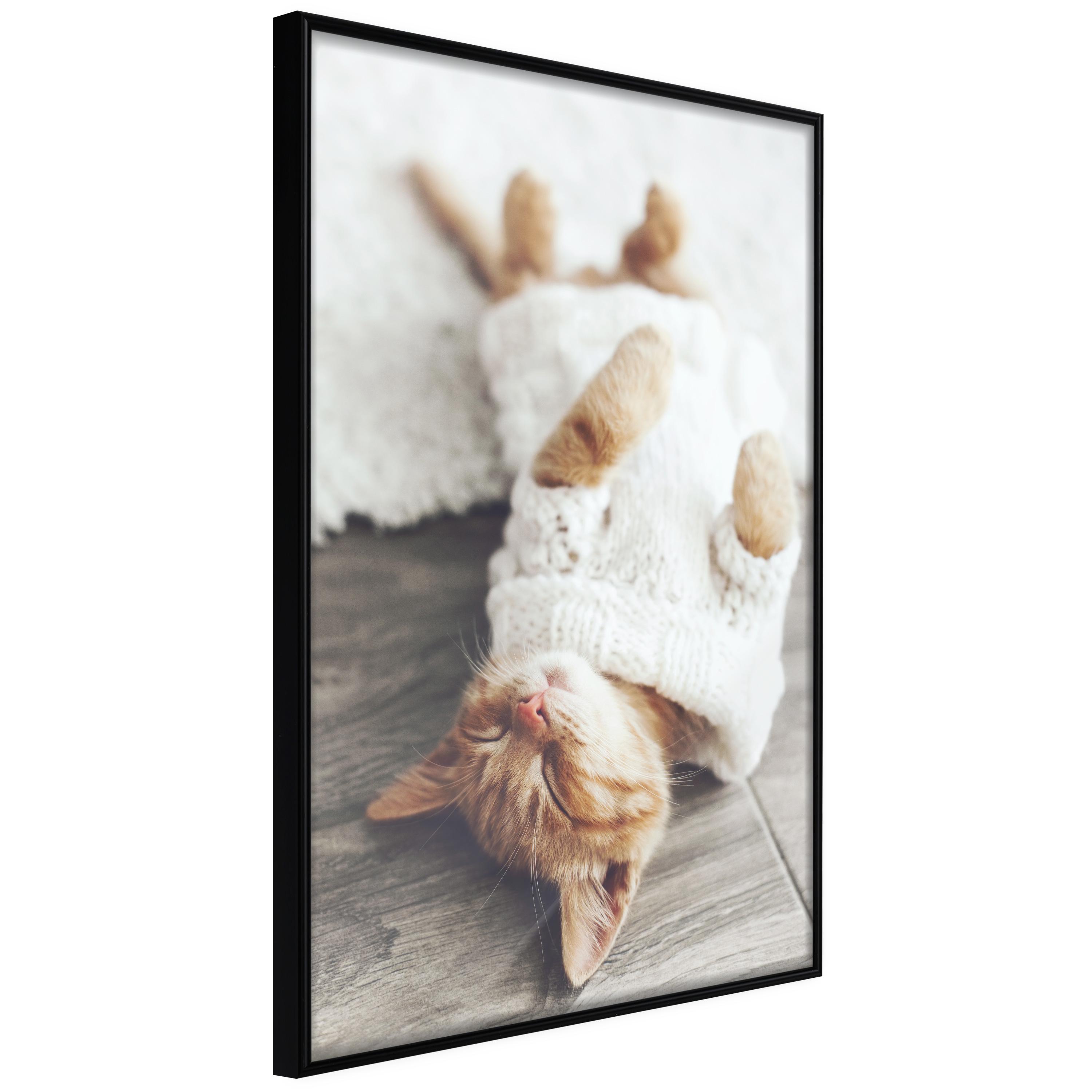 Sort Plakat Lazy Cat Ramme - Boligcenter Plakater  - 5904419735759