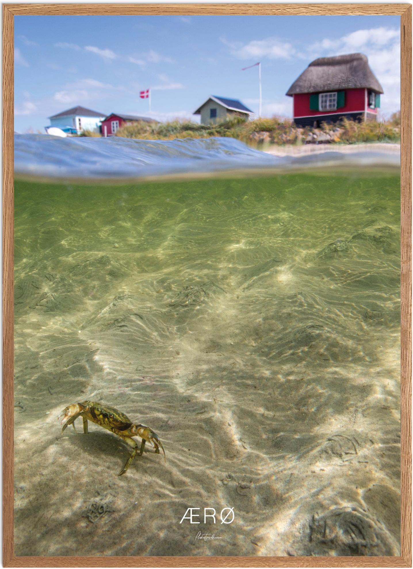 Plakat Ærø Naturplakat Recommended Products Seguno Plakat Plakatsnedkeren - Plakatsnedkeren Plakater