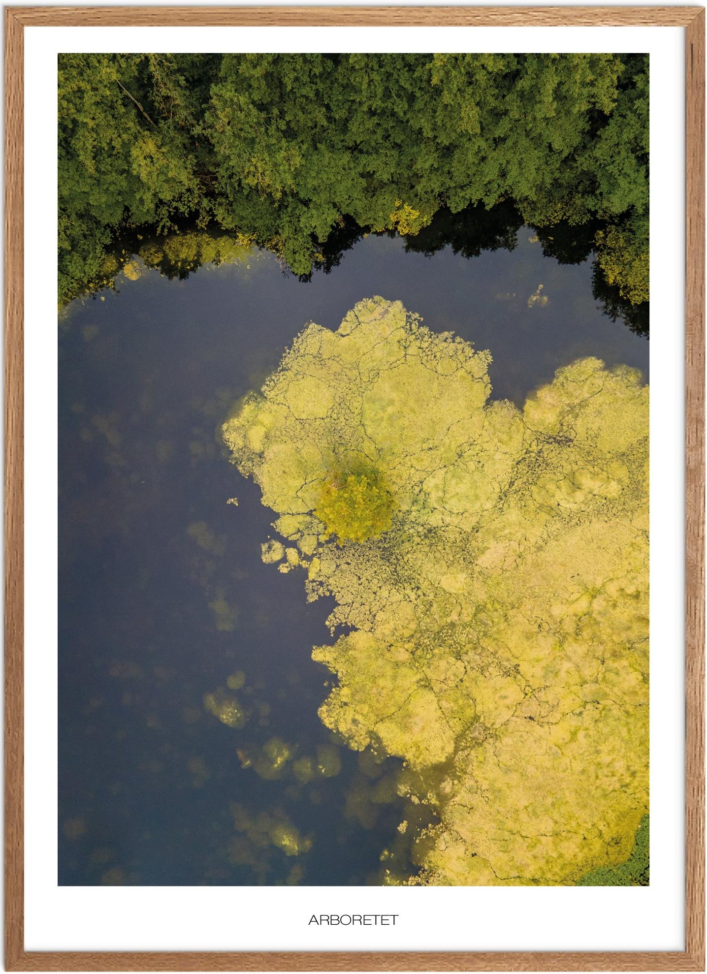 Plakat Arboretet Naturplakat Plakater Nordsjælland Plakat Plakatsnedkeren Drone Plakater - Plakatsnedkeren Plakater