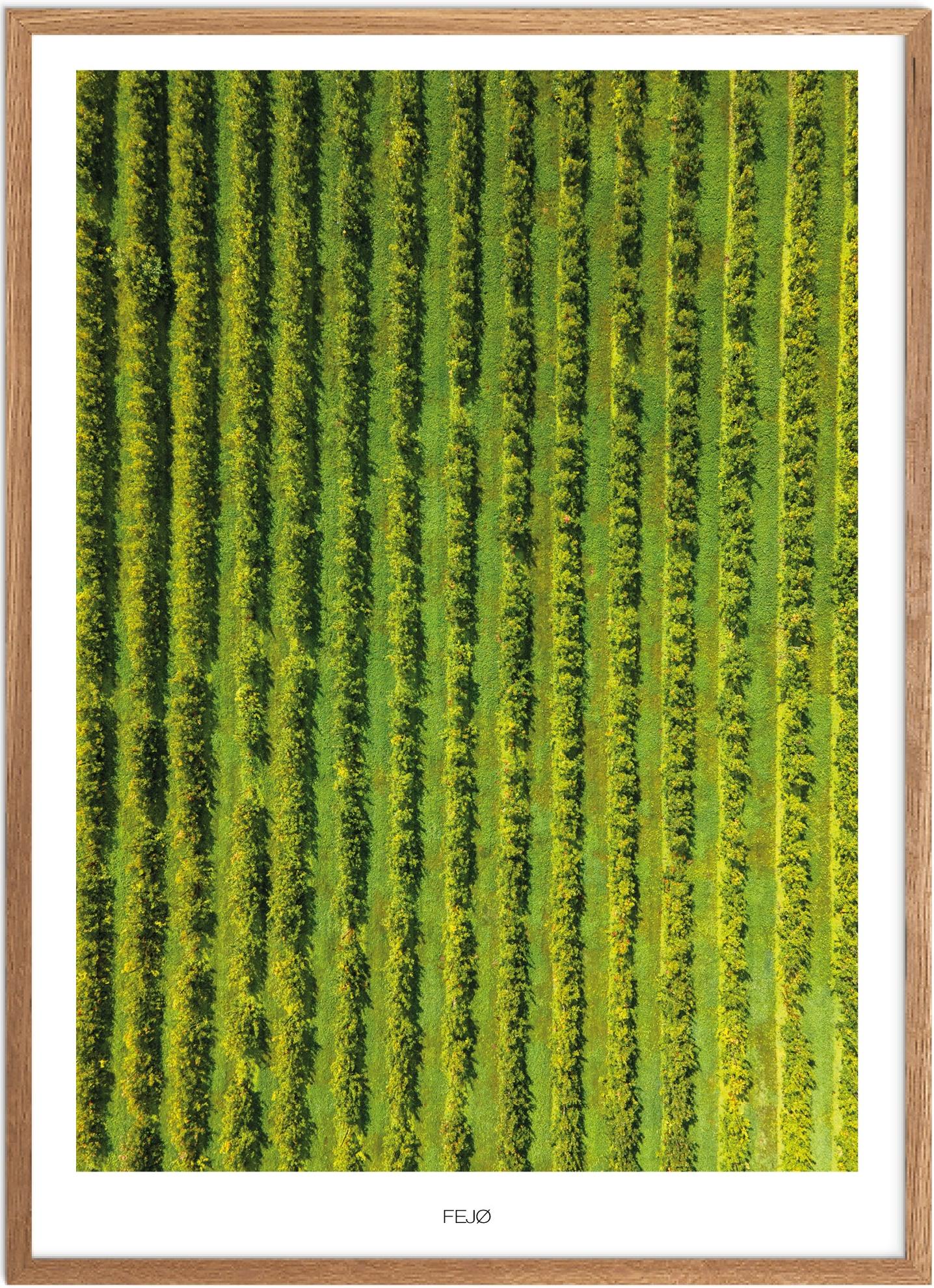 Plakat Fejø Naturplakat Plakater Lolland Falster Plakat Plakatsnedkeren Drone Plakater - Plakatsnedkeren Plakater