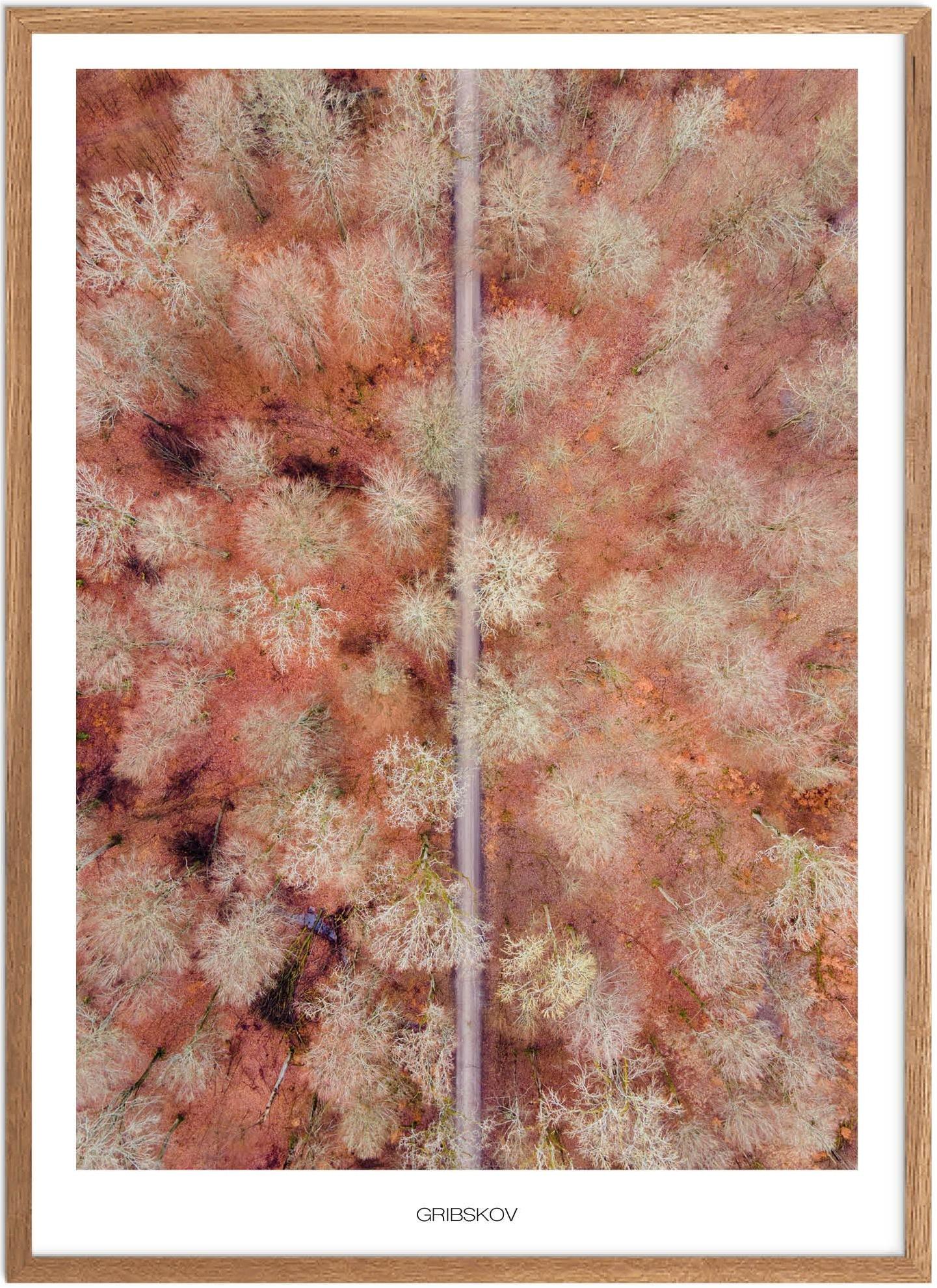 Plakat Furesø Naturplakat Plakater Nordsjælland Plakat Plakatsnedkeren Drone Plakater - Plakatsnedkeren Plakater