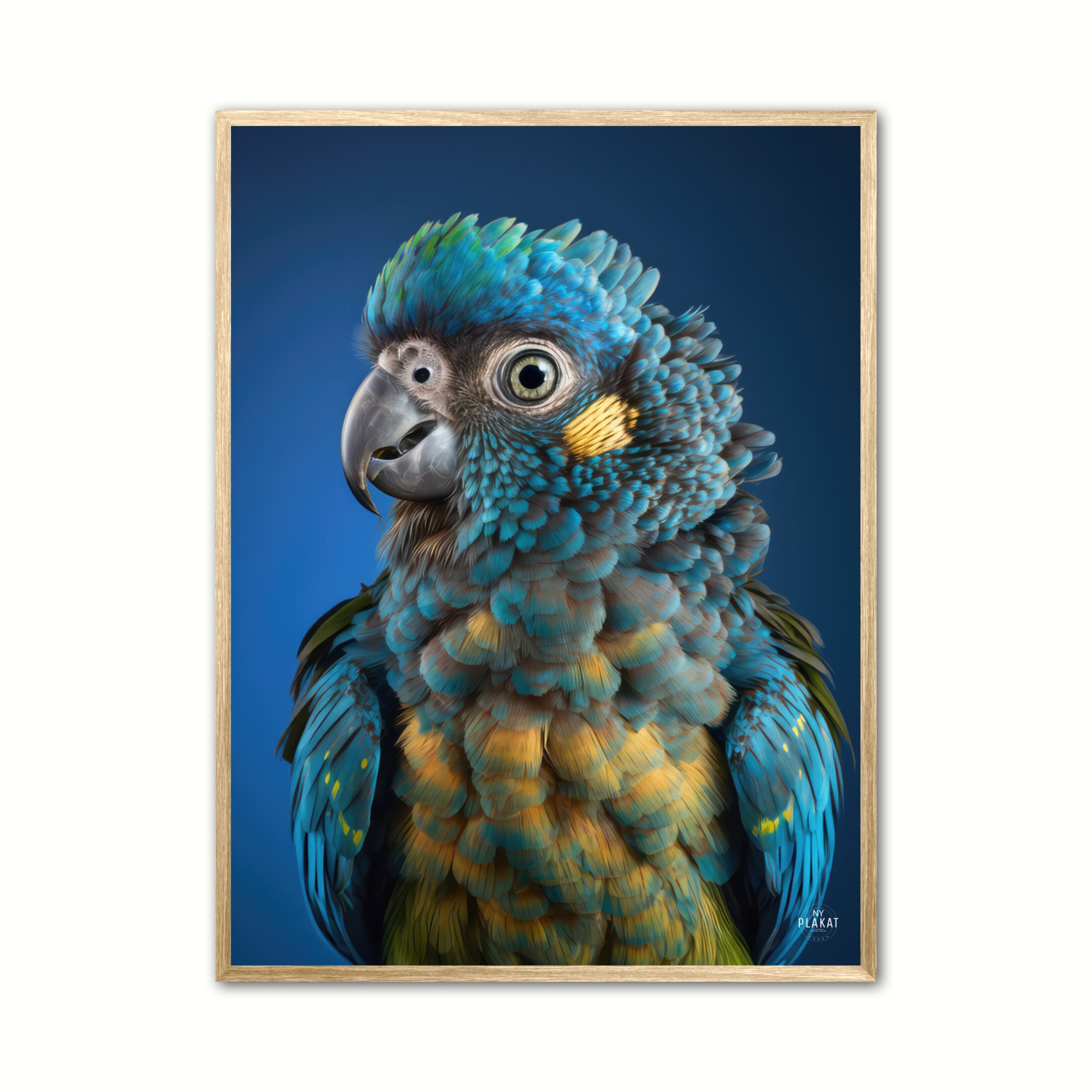 Papegje Plakat - Ny Plakat Plakater