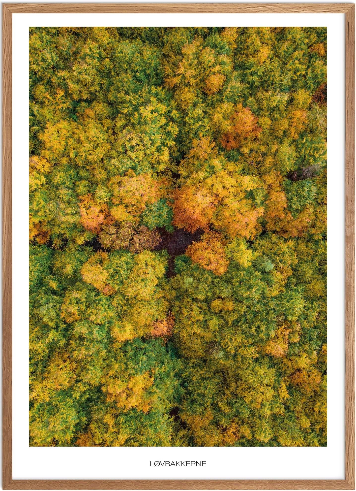 Plakat Løvbakkerne Naturplakat Plakater Vestjylland Plakat Plakatsnedkeren Drone Plakater - Plakatsnedkeren Plakater