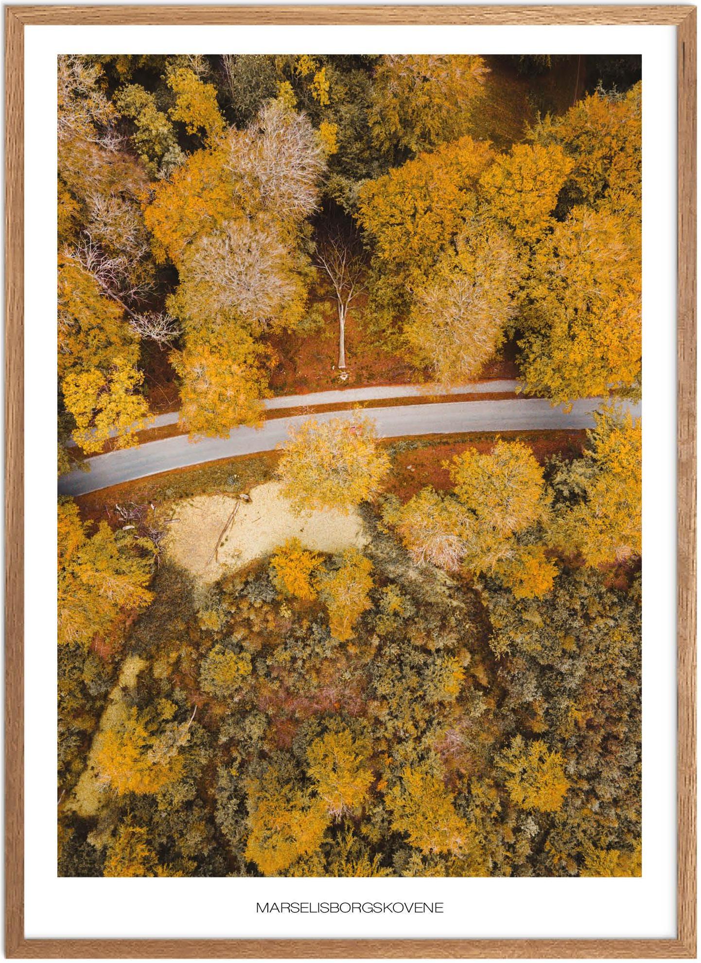 Plakat Marselisborgskovene Naturplakat Plakater Aarhus Plakat Plakatsnedkeren Bestsellere - Plakatsnedkeren Plakater