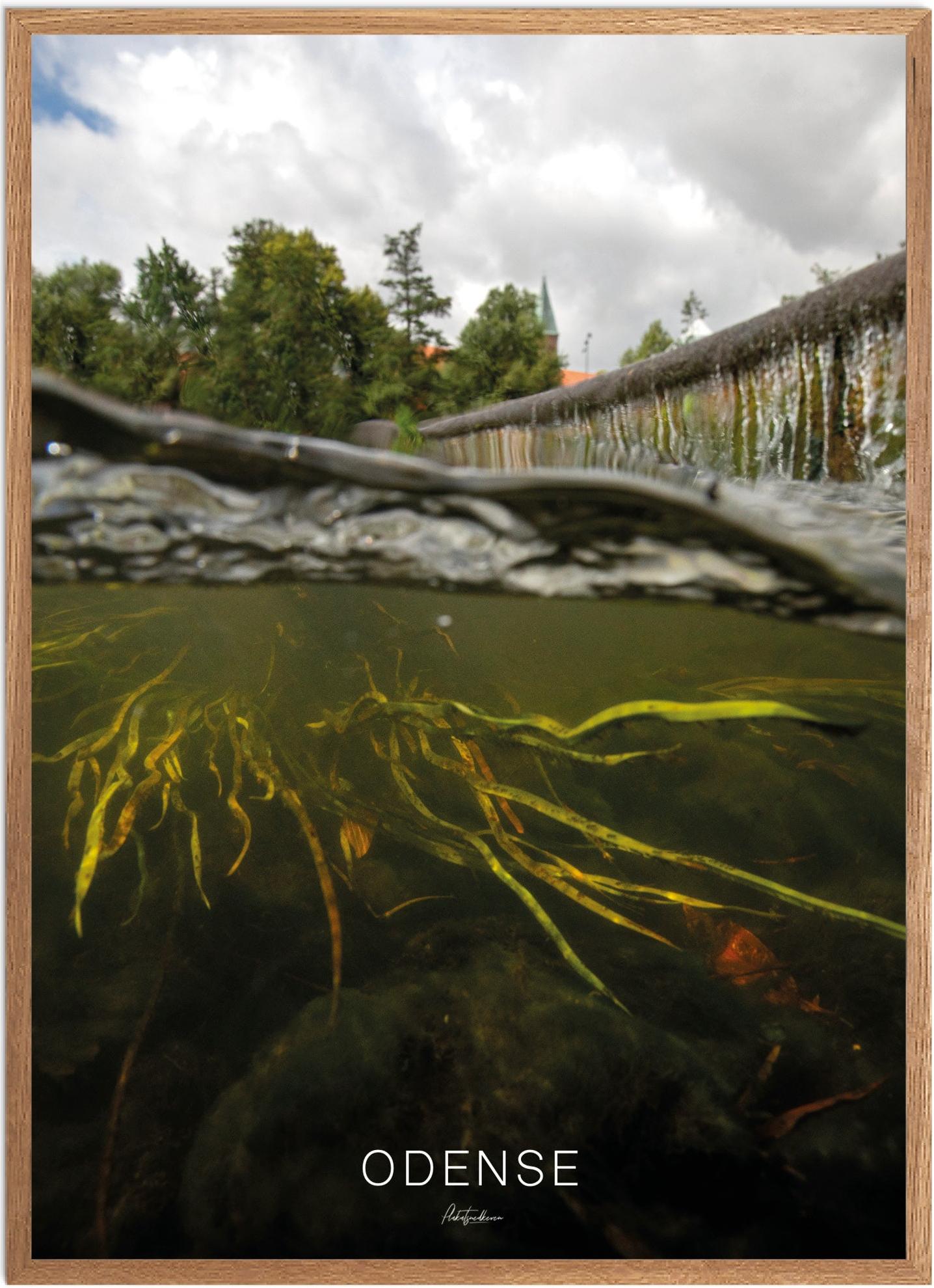 Plakat Odense Naturplakat Recommended Products Seguno Plakat Plakatsnedkeren - Plakatsnedkeren Plakater