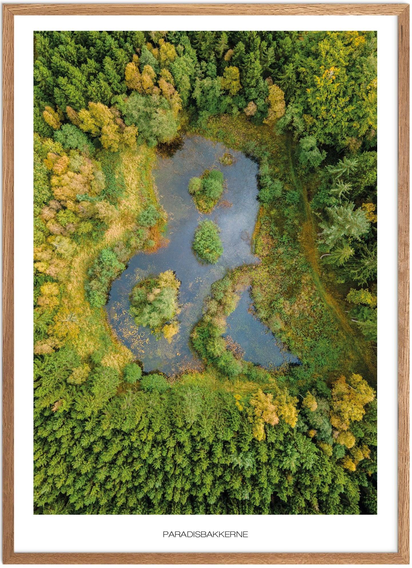 Plakat Paradisbakkerne Naturplakat Plakater Bornholm Plakat Plakatsnedkeren Drone Plakater - Plakatsnedkeren Plakater