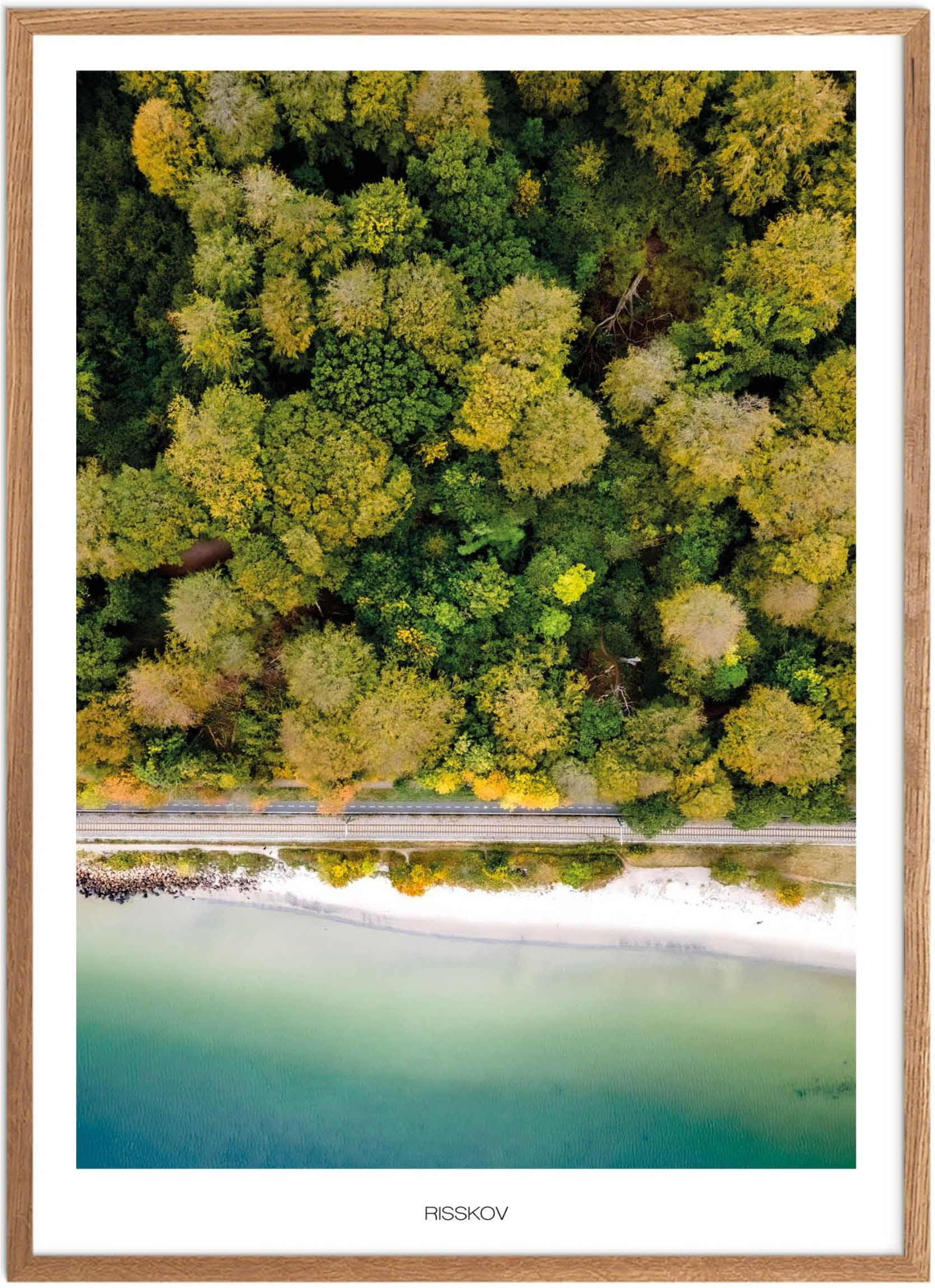 Plakat Risskov Naturplakat Plakater Aarhus Plakat Plakatsnedkeren Bestsellere - Plakatsnedkeren Plakater