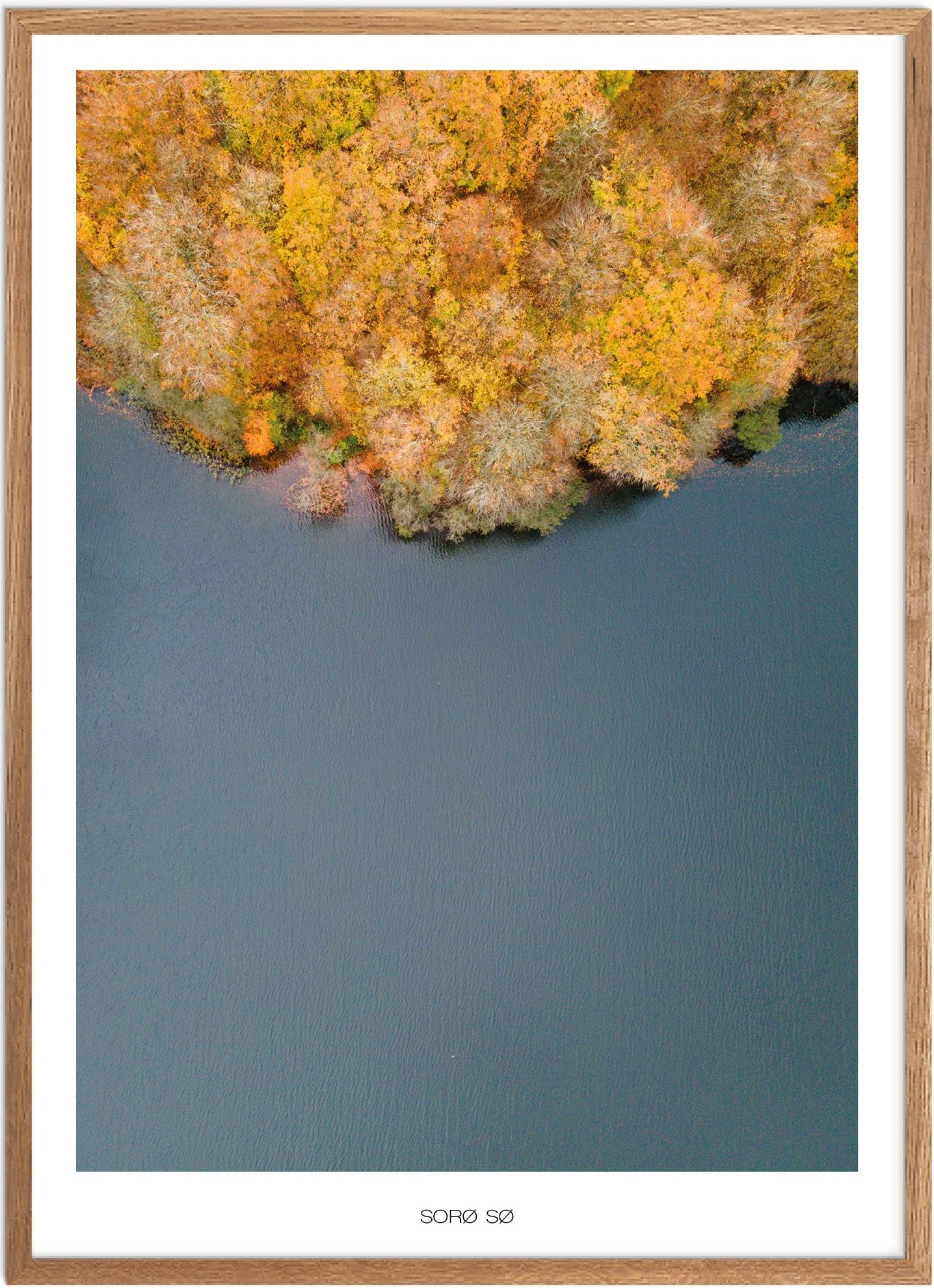 Plakat Sorø Naturplakat Plakater Vestsjælland Plakat Plakatsnedkeren Plakater Østsjælland - Plakatsnedkeren Plakater