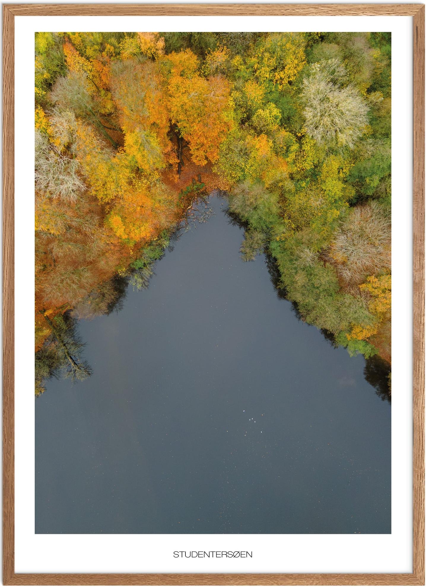 Plakat Studentersøen Naturplakat Plakater Vestsjælland Plakat Plakatsnedkeren Drone Plakater - Plakatsnedkeren Plakater