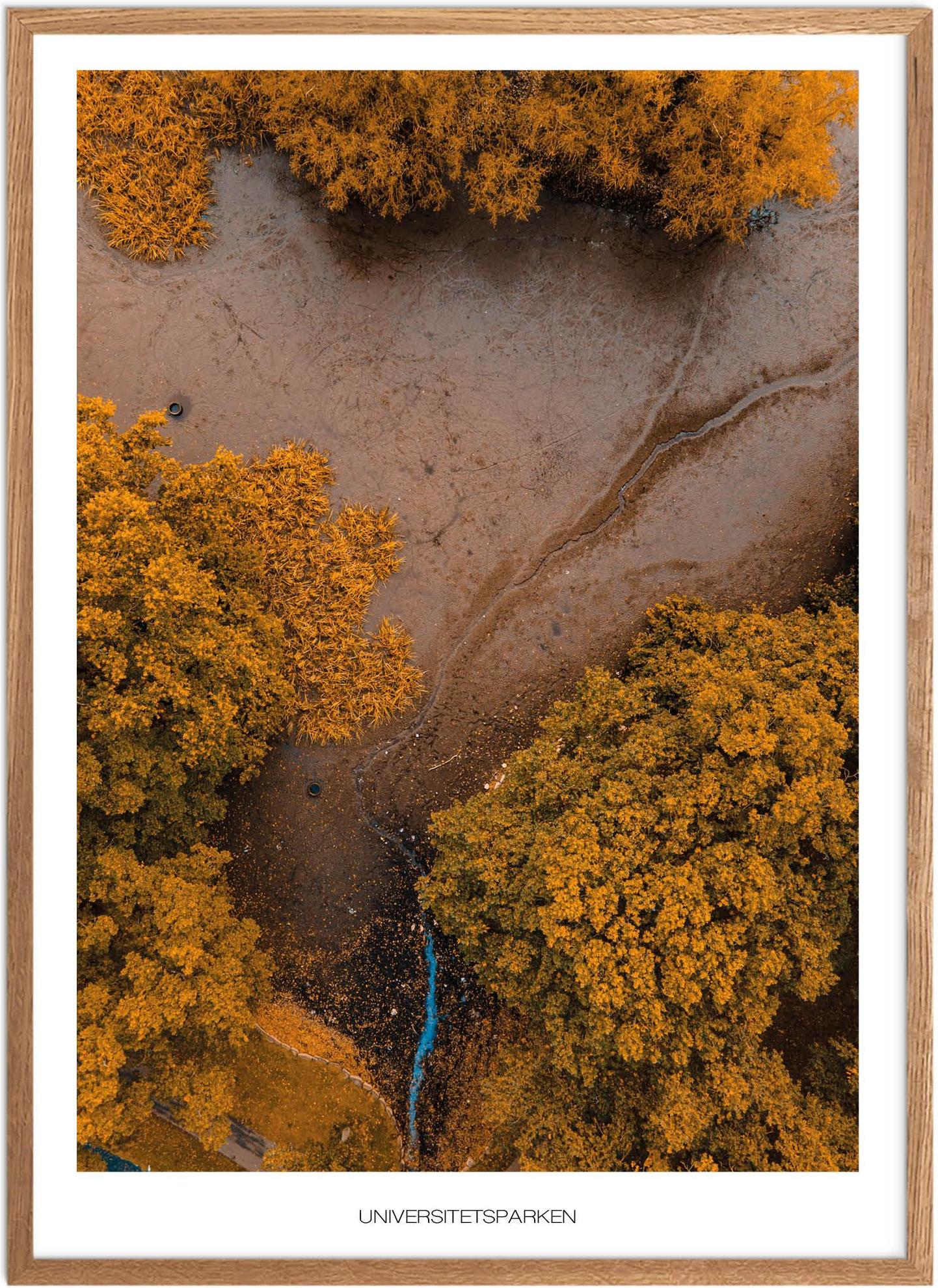 Plakat Aarhus Universitetspark Naturplakat Plakater Aarhus Plakat Plakatsnedkeren Bestsellere - Plakatsnedkeren Plakater