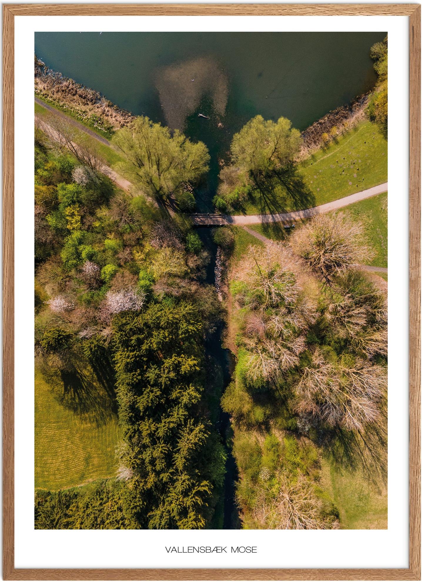 Plakat Vallensbæk Mose Naturplakat Plakater København Plakat Plakatsnedkeren Plakater Østsjælland - Plakatsnedkeren Plakater