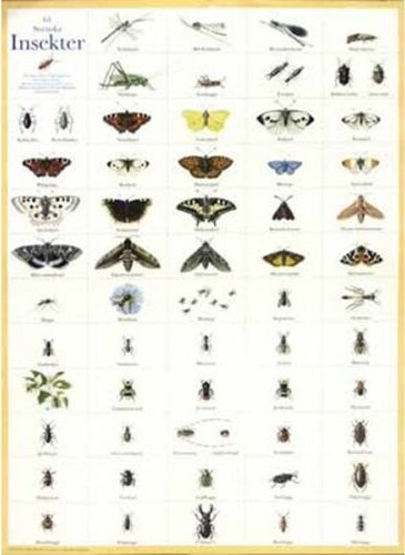 Insekt Plakat Svenska Insekter 50x70 - Hjelm Forlag Plakater  - 7393182007220
