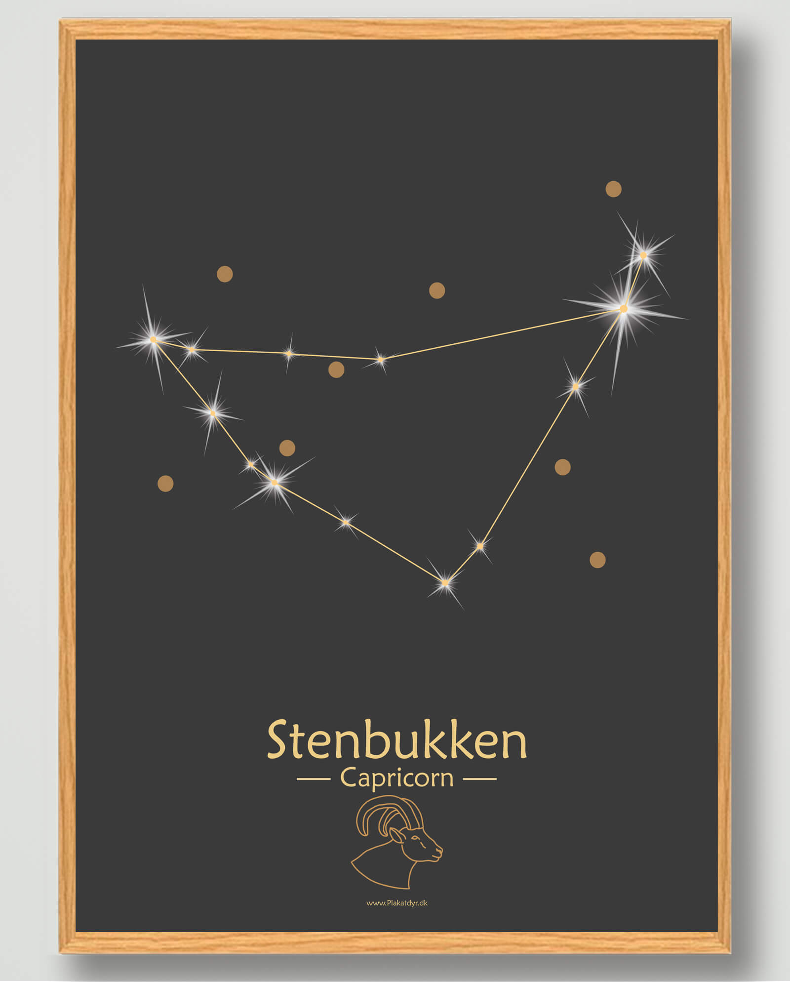 Sort Stjernebillede Stenbukken Plakat - Plakatdyr.dk Plakater
