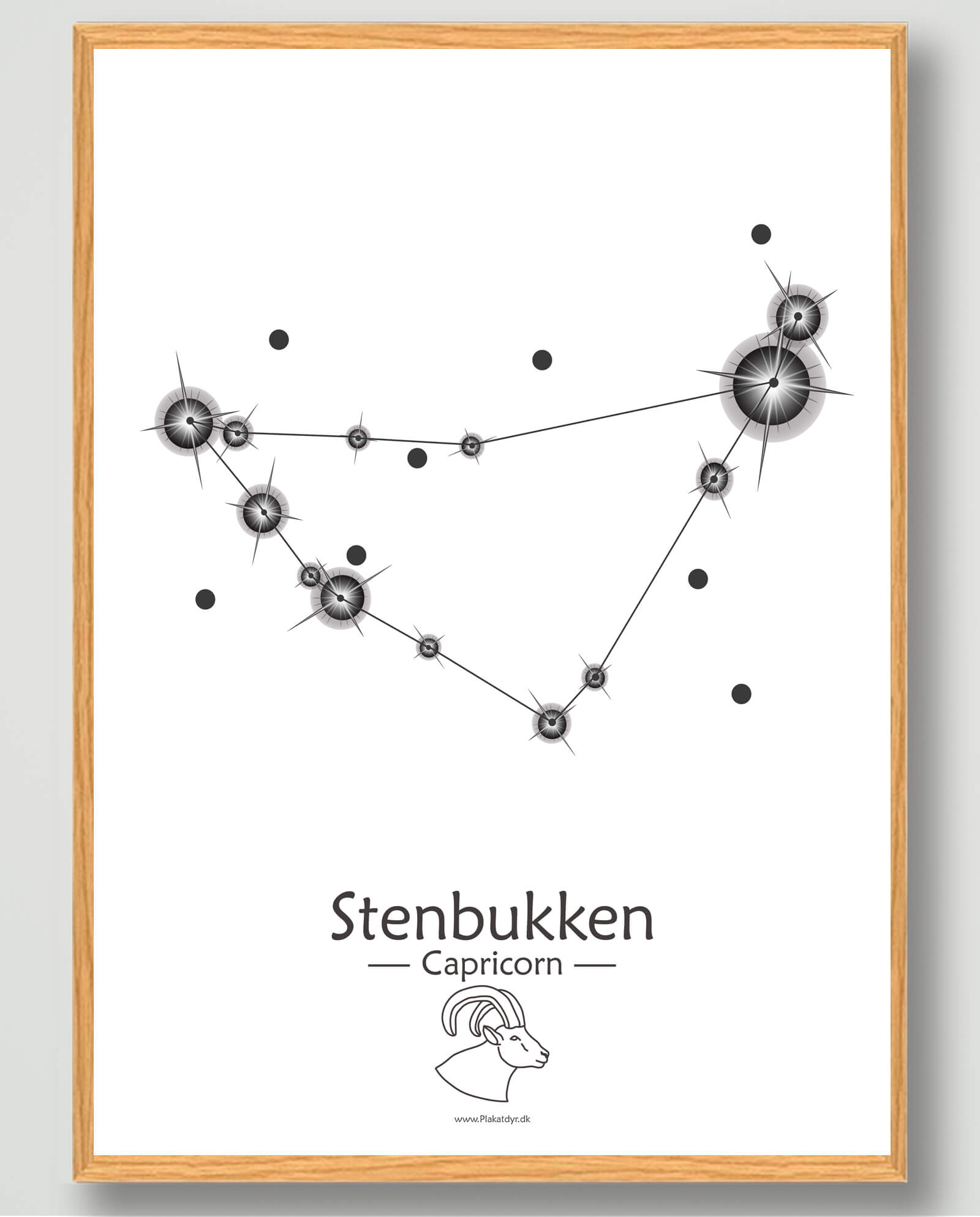Hvid Stjernebillede Stenbukken Plakat - Plakatdyr.dk Plakater