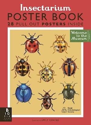 Amp Insectarium Poster Bookamp Dave Goulson Bog - Dave Goulson Plakater  - 9781835871843