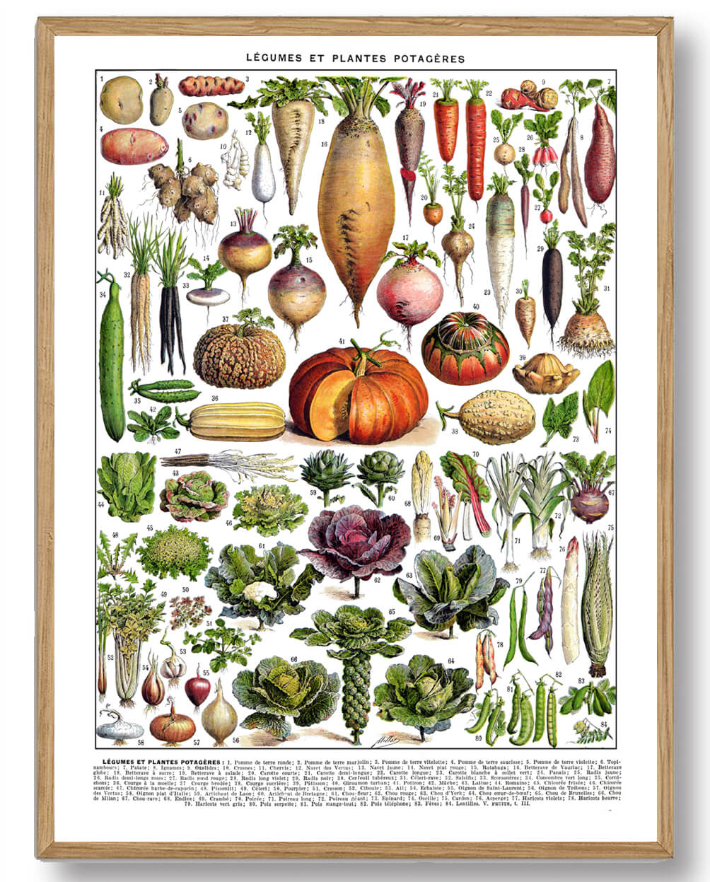 Adolphe Millot Køkkenhave - Plakatdyr.dk Plakater