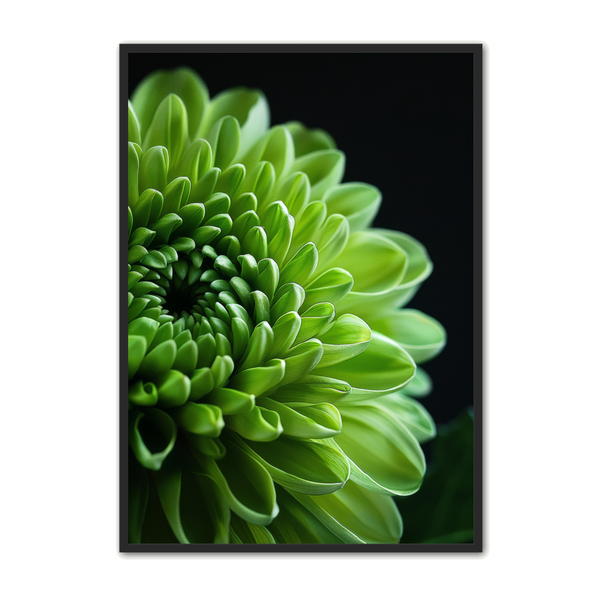 Blomster Plakat 159 - Plakat Portalen Plakater