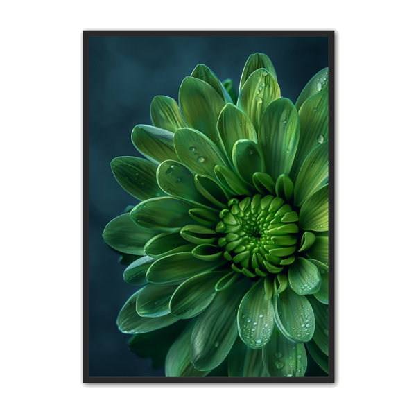 Blomster Plakat 160 - Plakat Portalen Plakater