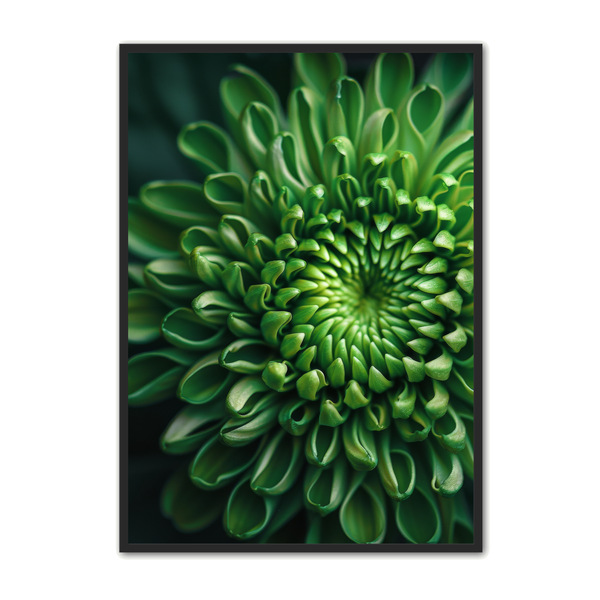 Blomster Plakat 161 - Plakat Portalen Plakater