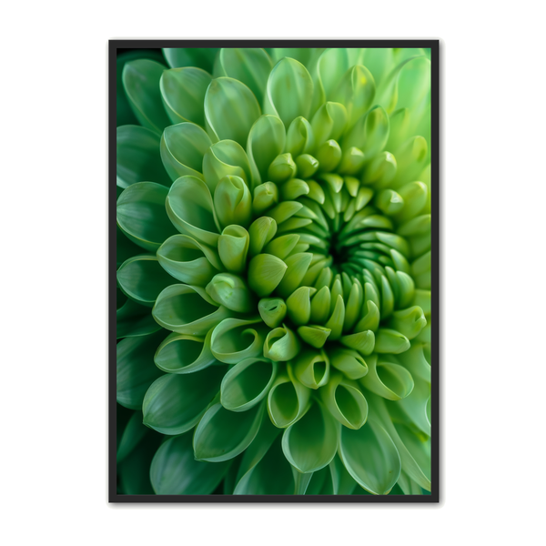 Blomster Plakat 162 - Plakat Portalen Plakater