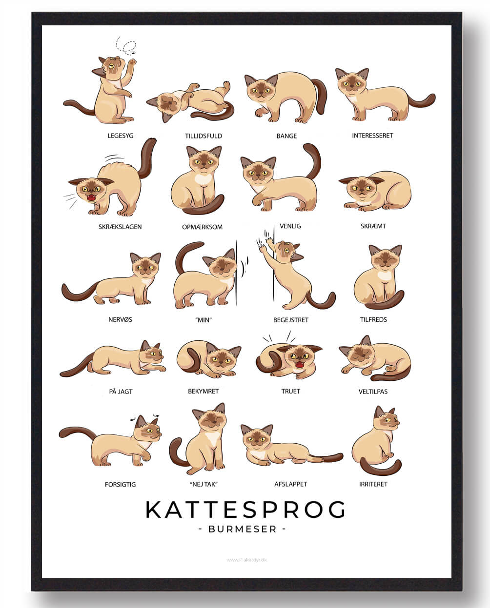 Kattesprog Burmeser Katte Plakat - Plakatdyr.dk Plakater